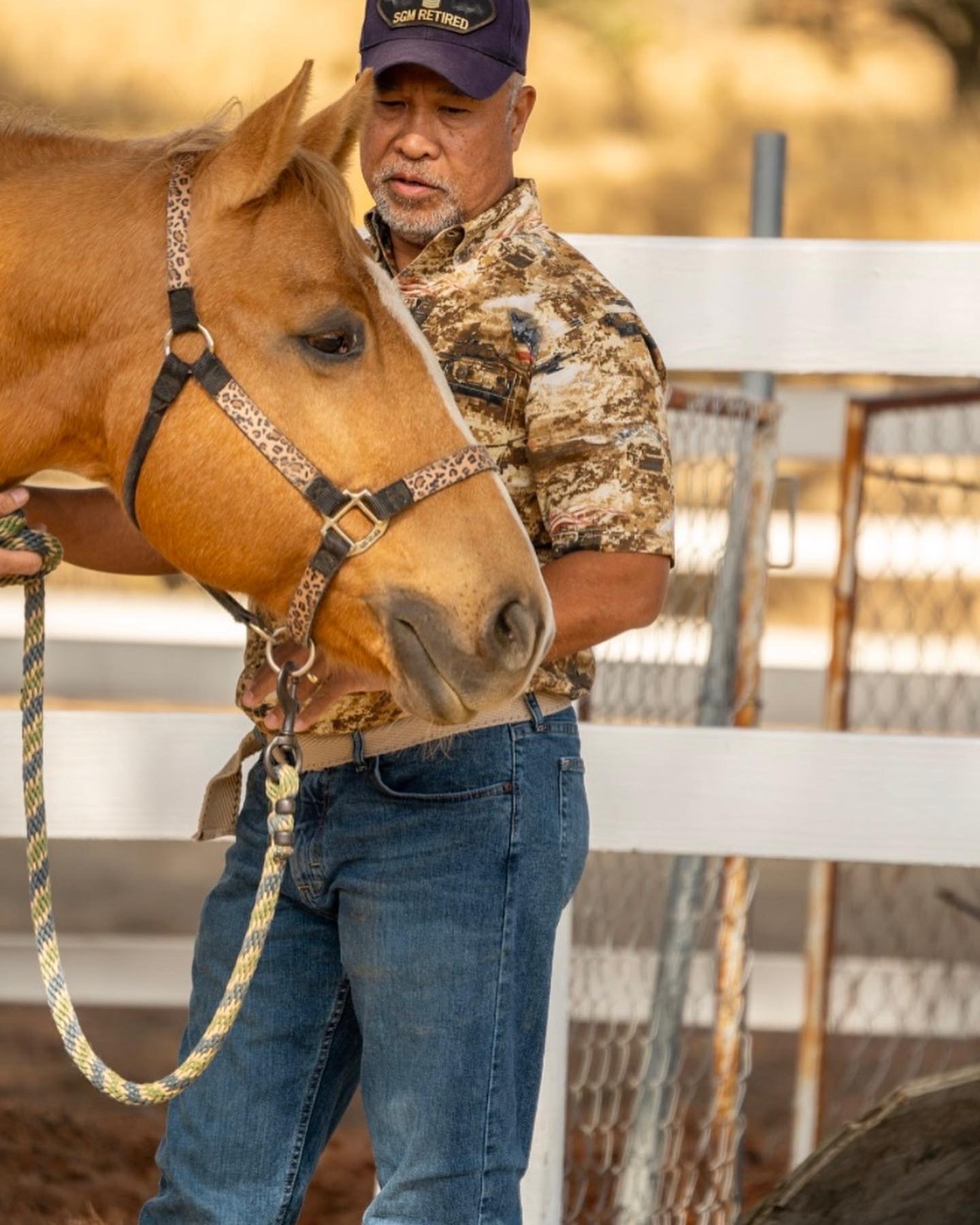 Man in camouflage shirt and jeans holding a brown horse with a leopard print halter in a fenced outdoor area.