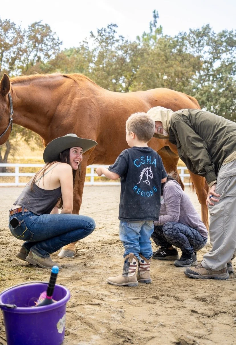 A woman, a man, and a young boy are at a farm or petting zoo interacting with a brown horse. The woman is squatting and smiling, wearing a large hat and jeans. The man, wearing a hat and jacket, is leaning towards the horse. The boy is standing in front of the horse, facing the woman. There is a purple bucket with a brush in it on the ground in the foreground, and a background of trees and a white fence.