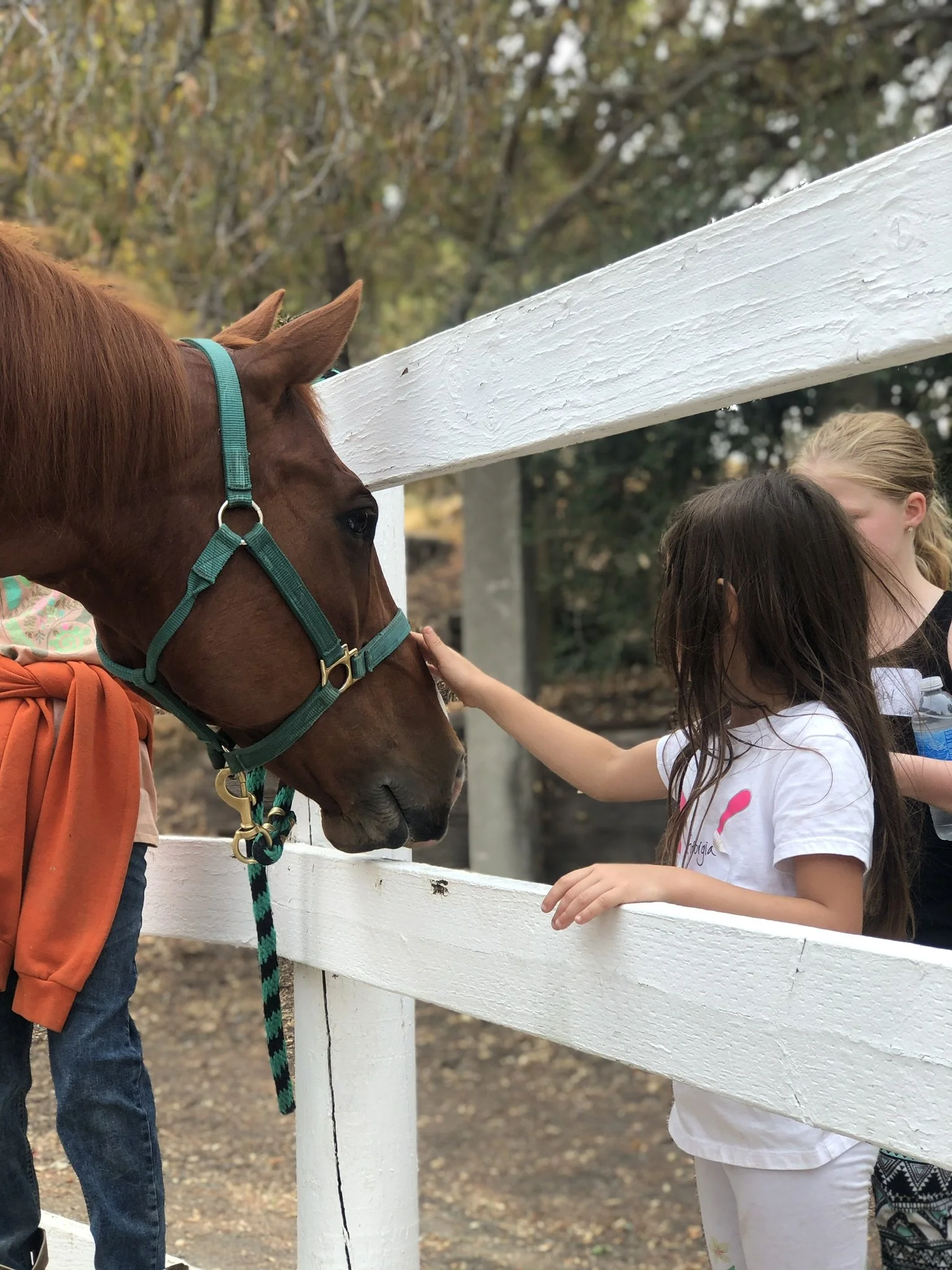 Two young girls and a horse with a chestnut coat and a green halter are near a white wooden fence, outdoors in a wooded area.