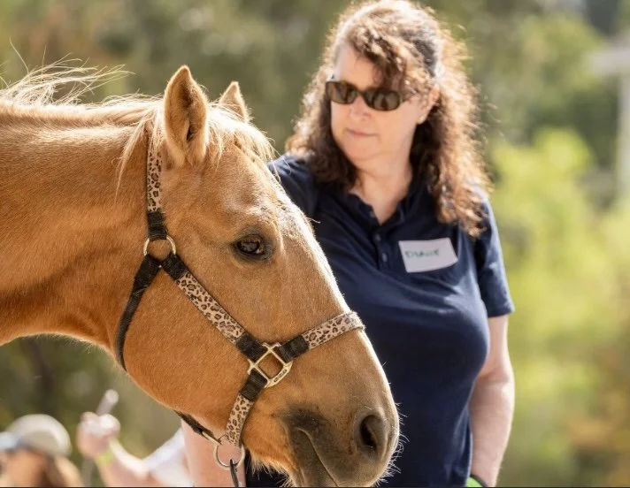 A woman wearing sunglasses and a navy polo shirt standing next to a brown horse with a leopard-patterned halter outdoors.