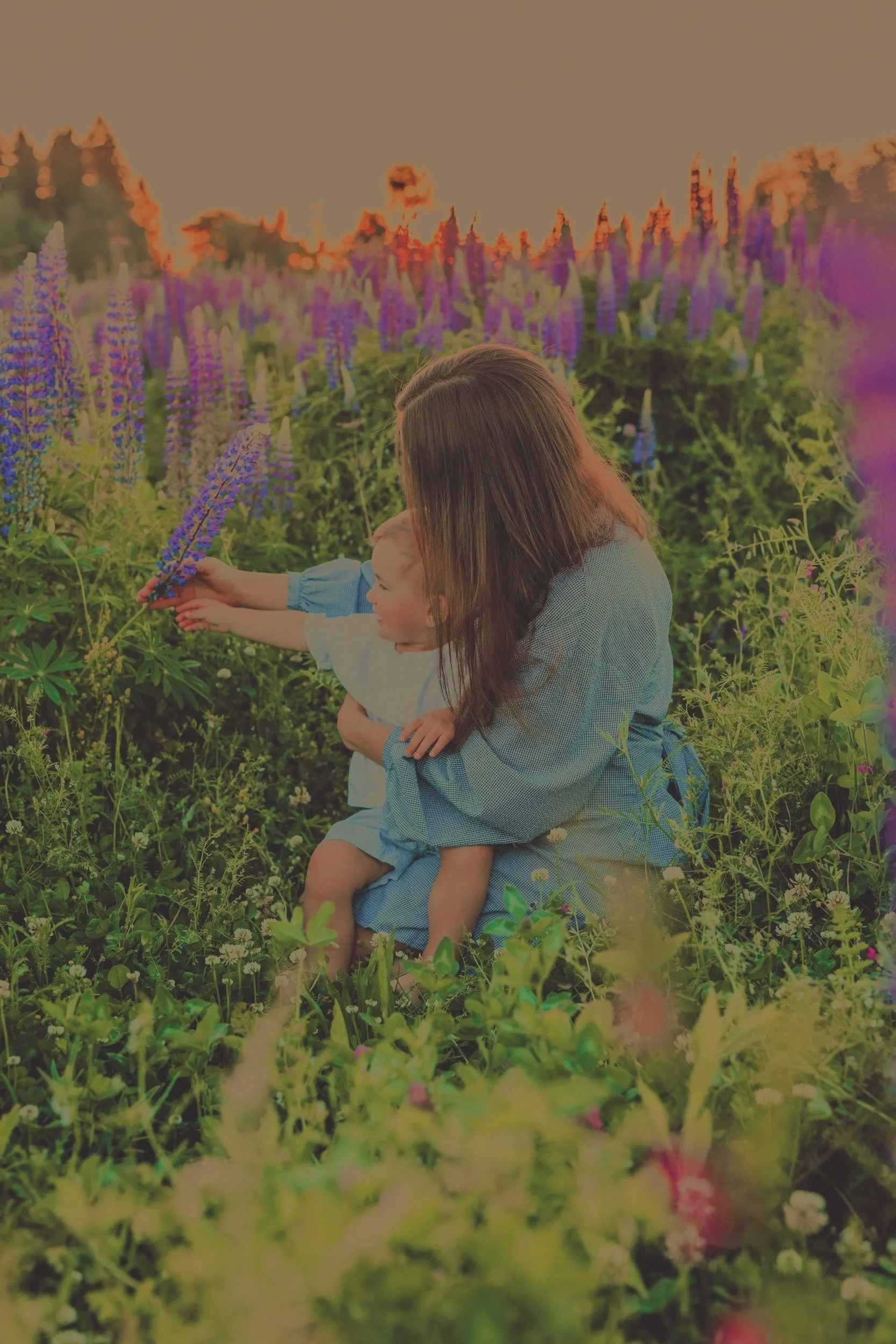 A woman and a young child sitting together in a field of purple flowers, with the woman holding the child and both reaching to touch a flower. The setting sun is in the background.