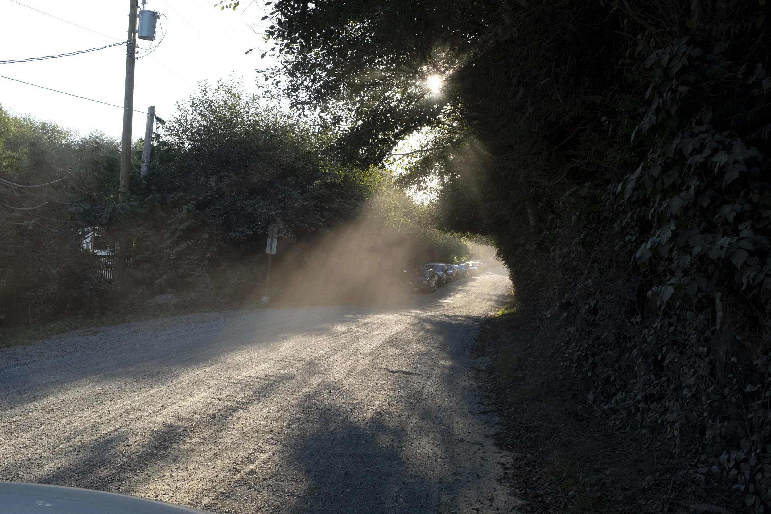 A rural dirt road with a line of parked cars on the right side, dense trees and bushes on the left, power lines and a utility pole overhead, sunlight filtering through the foliage, and dust particles in the air.