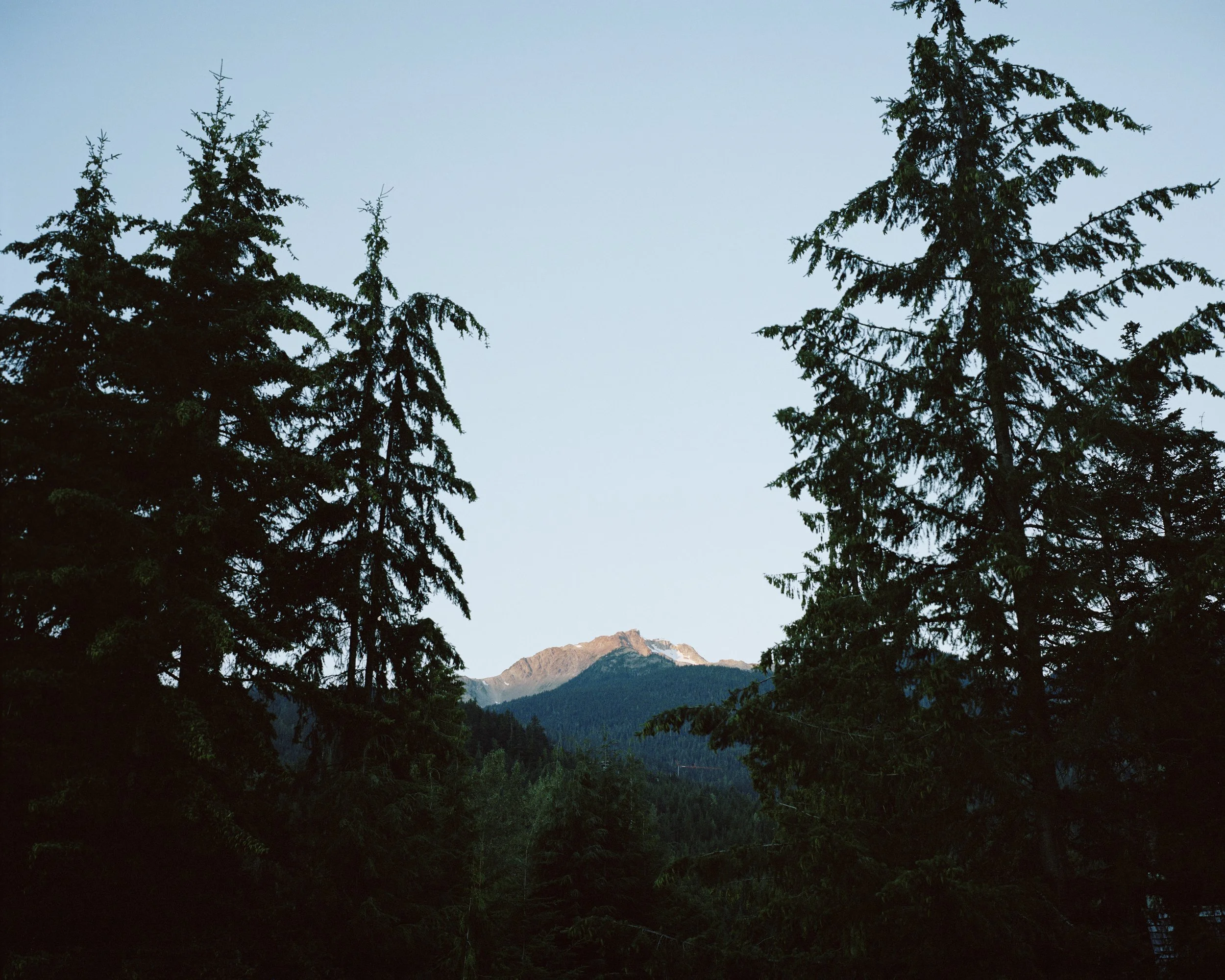 A view of a mountain landscape seen through tall evergreen trees, with mountain peaks in the background and a sky overhead.