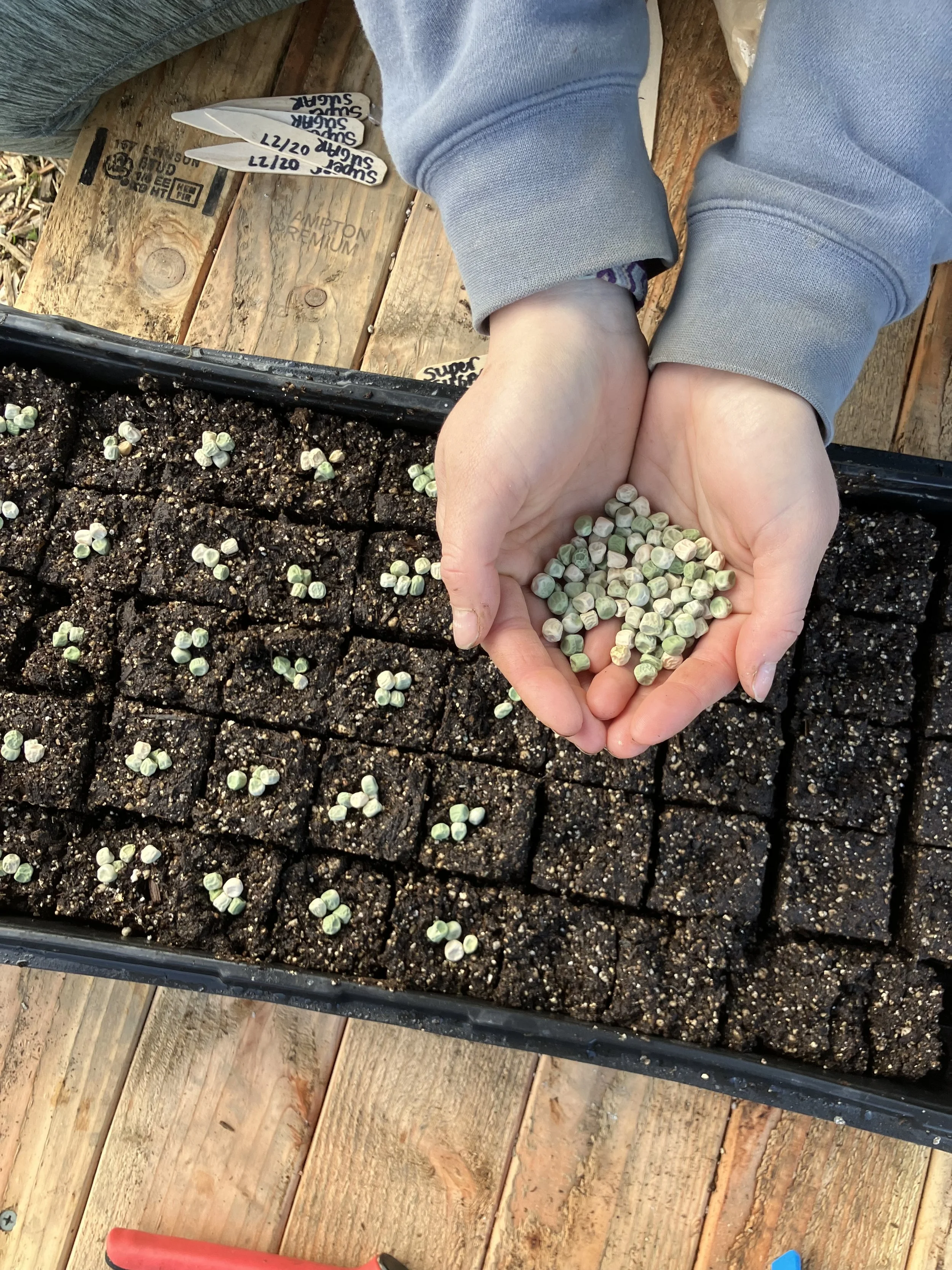 march newsletter.jpg