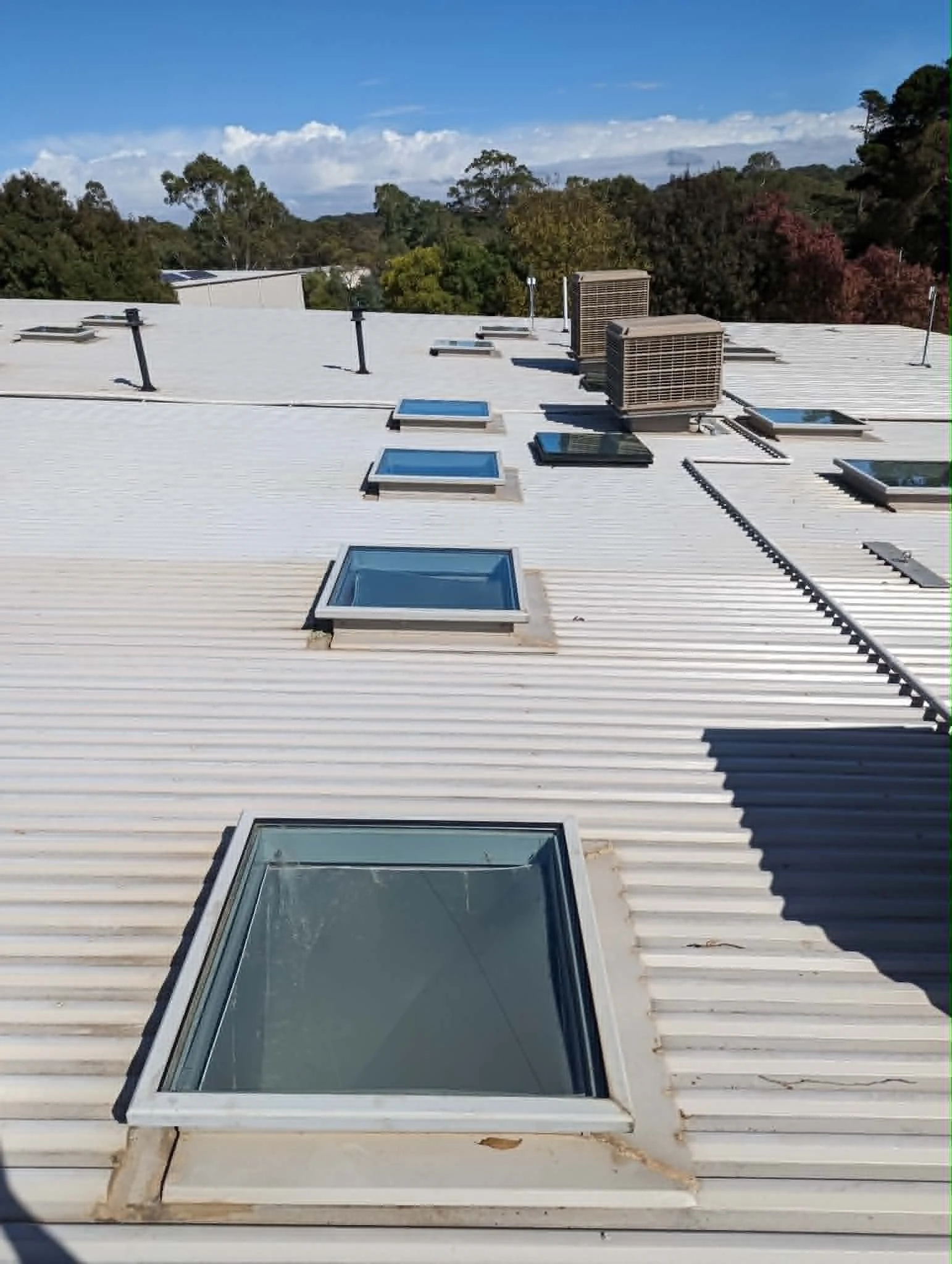 How Much Does Window Repair Cost? A Bendigo Glazier Explains
