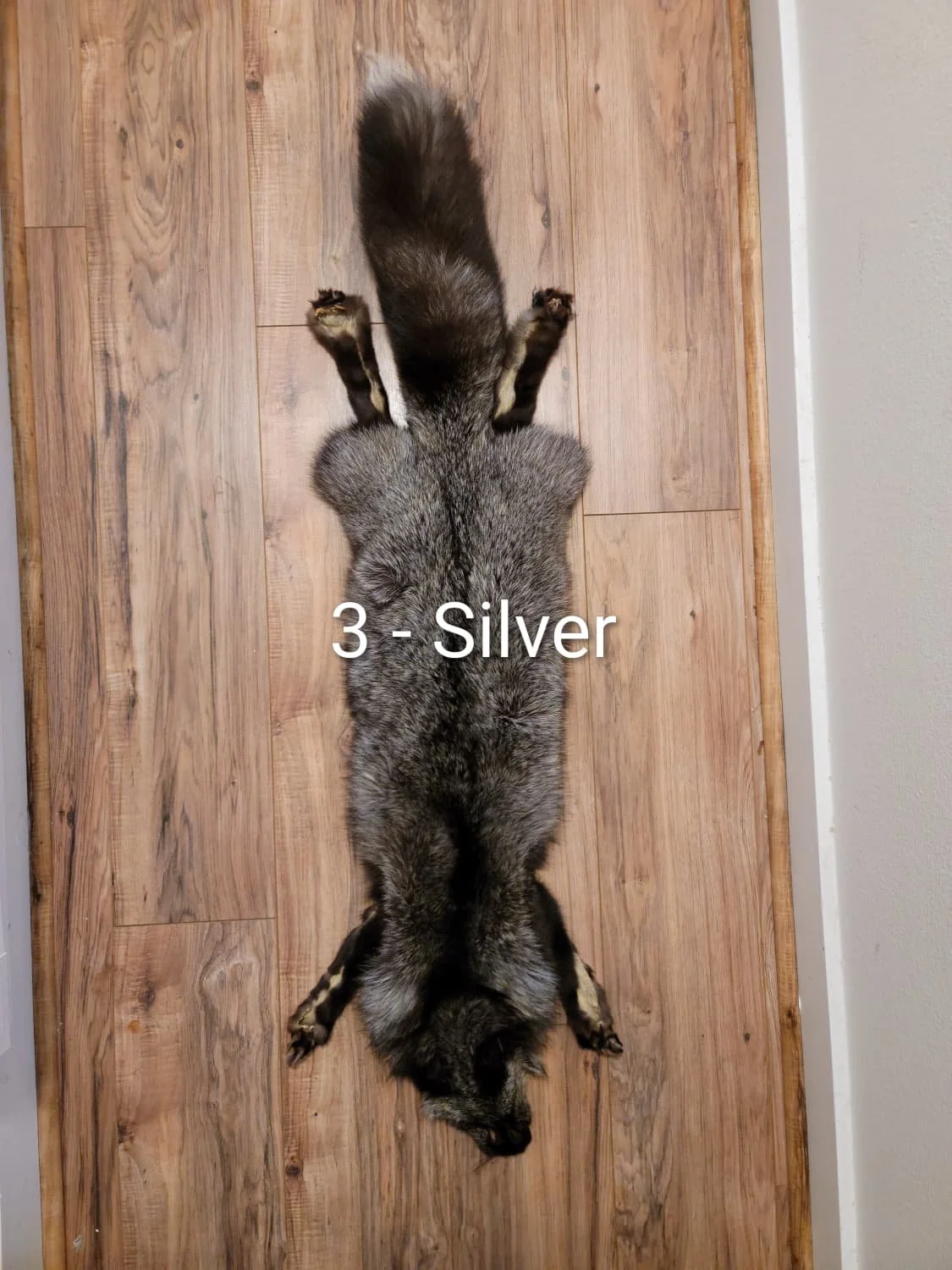 silver.2.3.jpeg