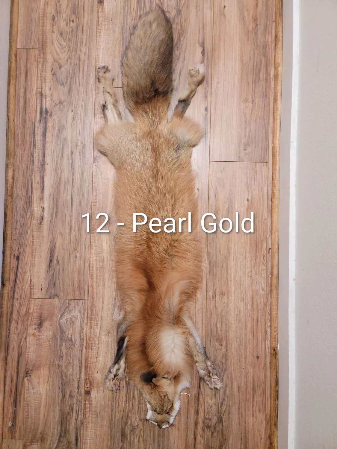 pearlgold1.12.jpeg