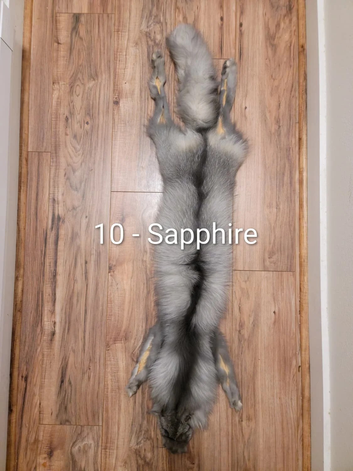 sapphire3.10.jpeg