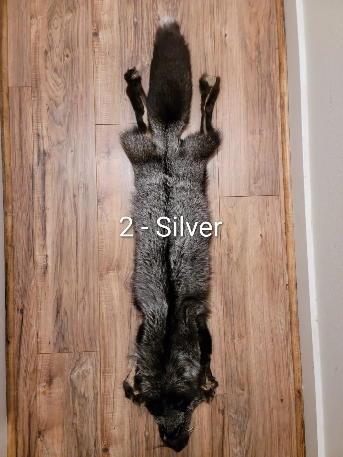 silver1.2.jpeg