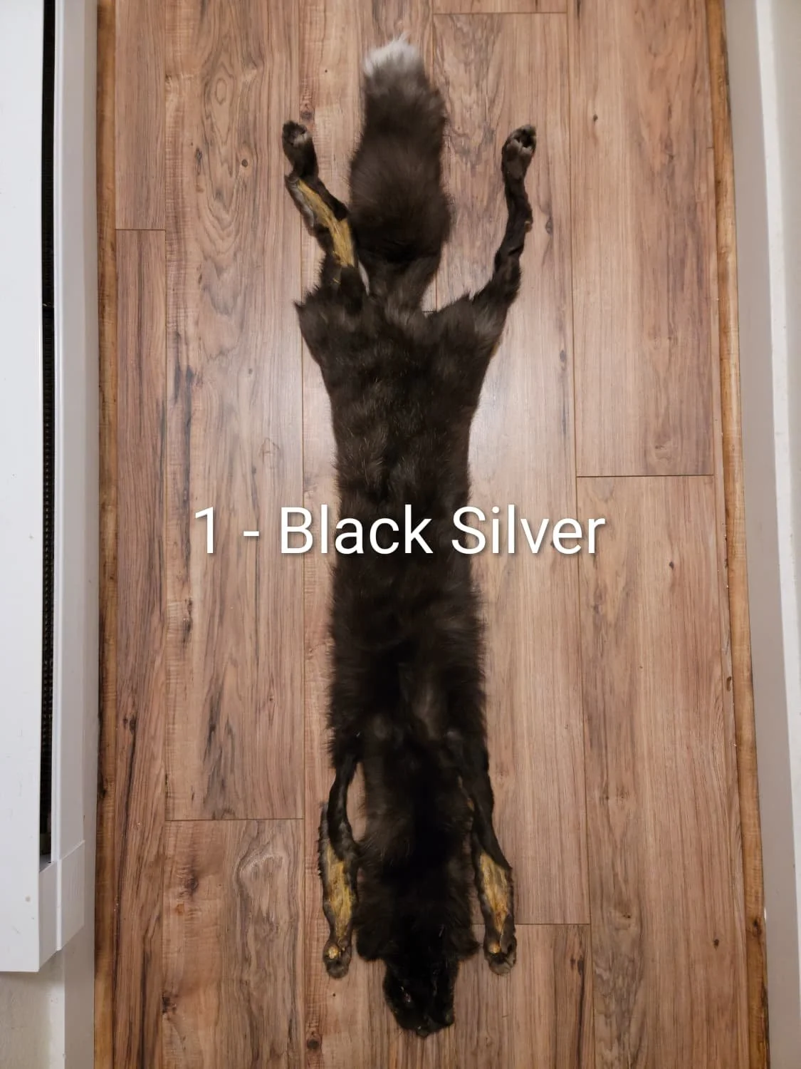blacksilver1.1.jpeg