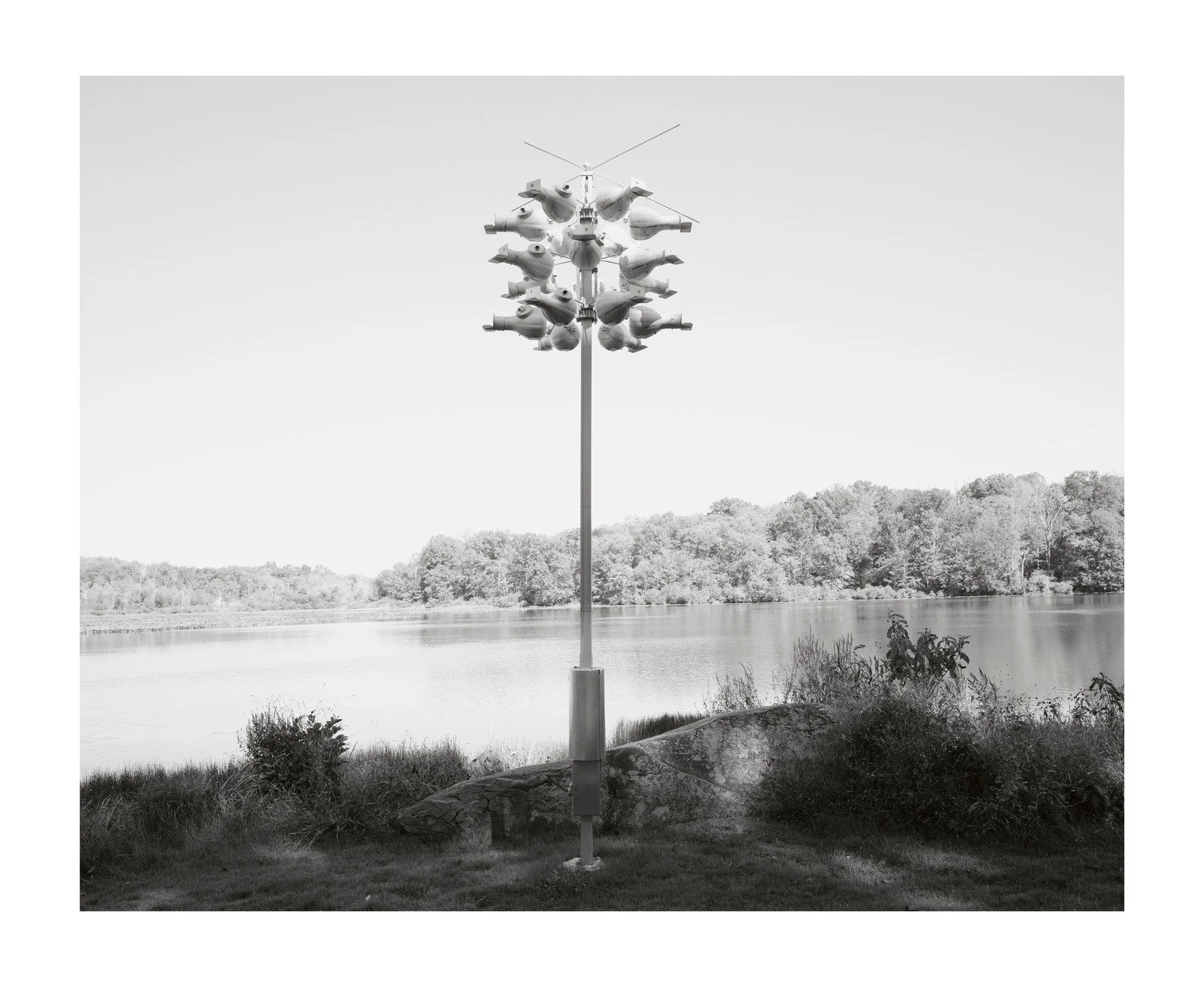 Those are bird houses. Part of a larger project about parks, sculpted nature and acceptable forms of recreation. I think it's incredibly funny to bulldoze a forest, put in a parking lot and then put up plastic bird houses. We're doing great.
