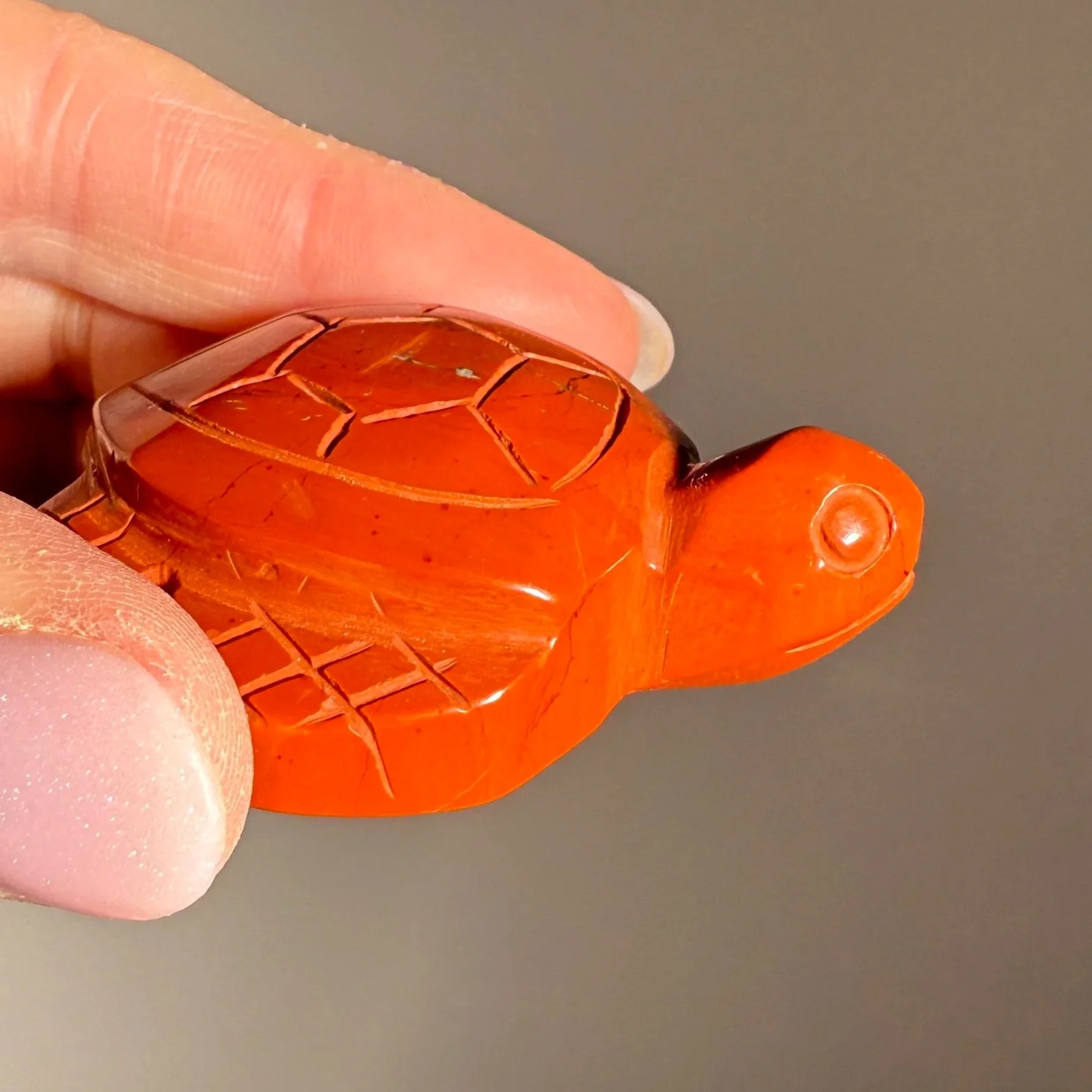 Red Jasper Turtle