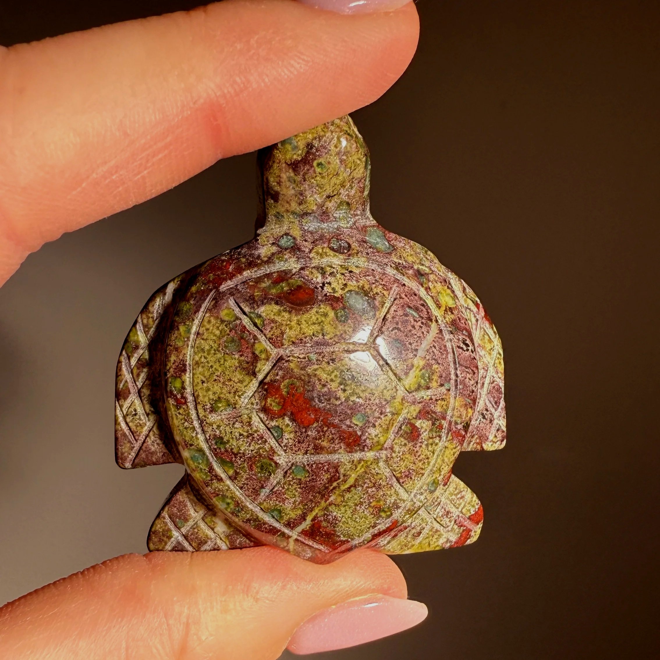 Dragon's Blood Jasper Turtle
