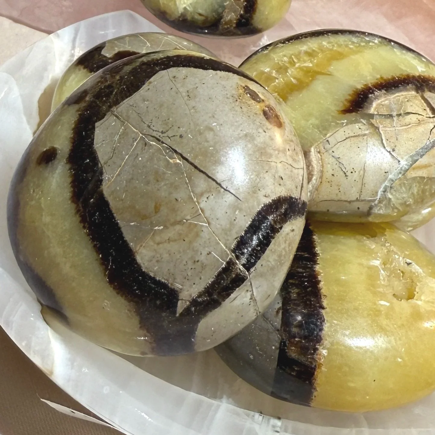 Septarian Palmstones