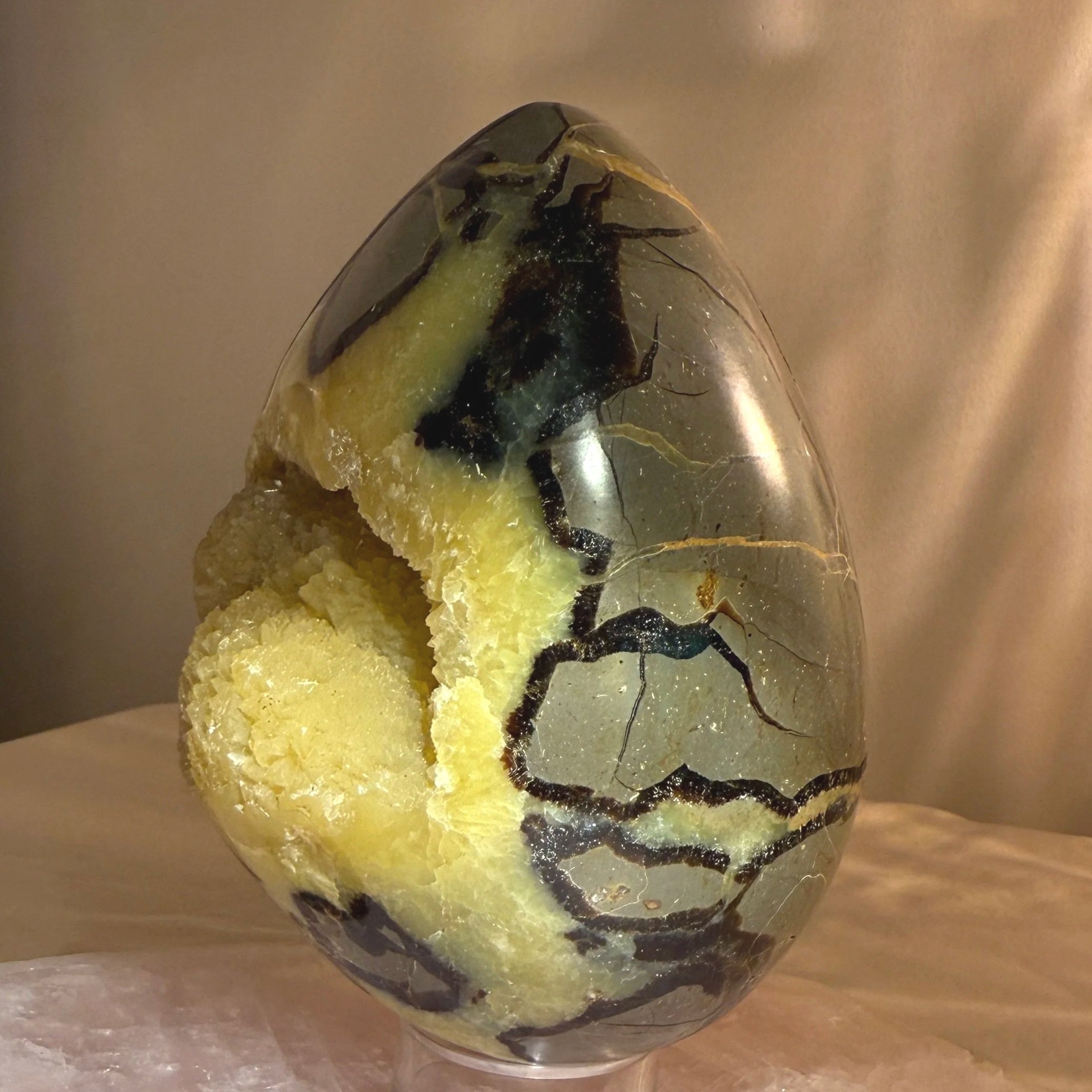 Septarian Egg