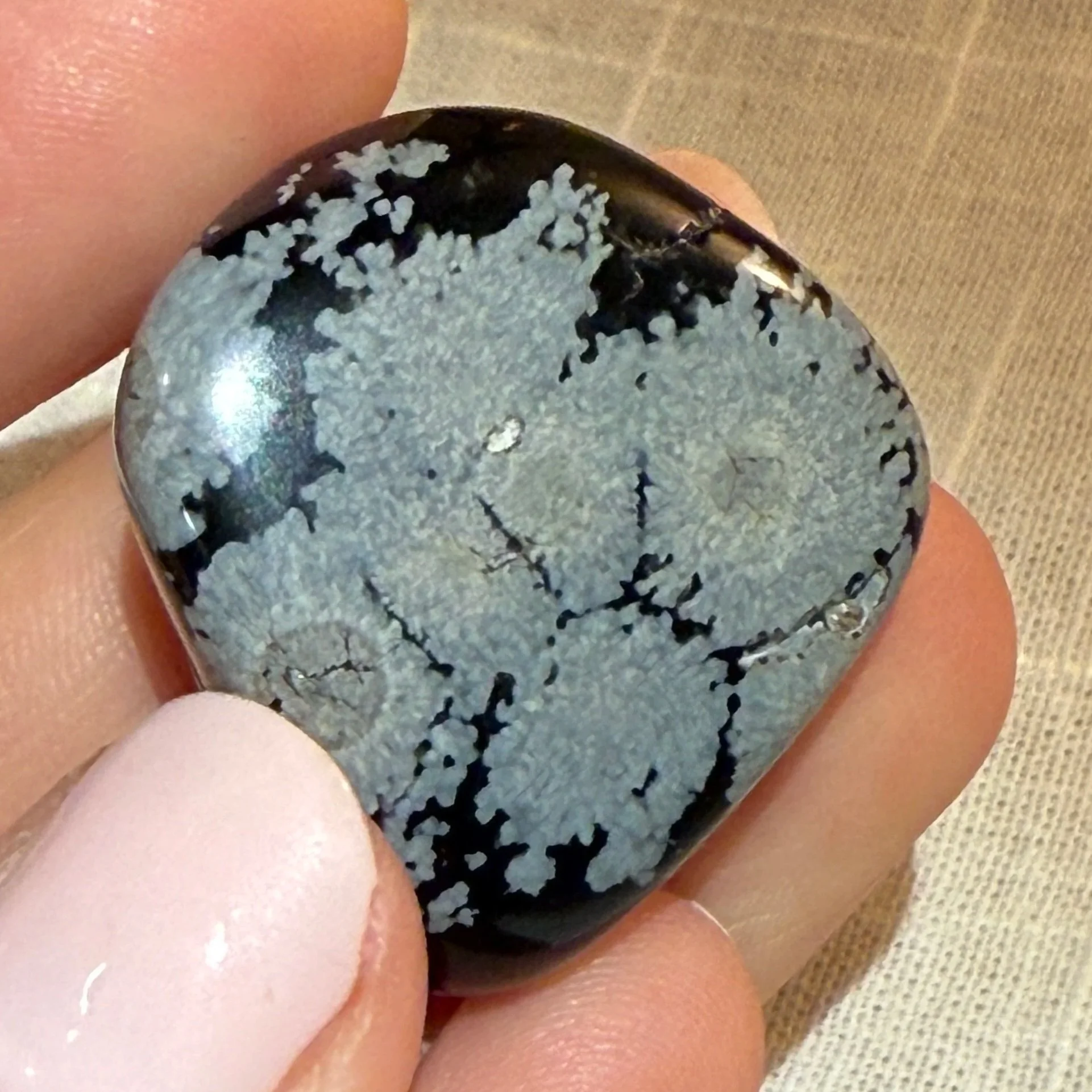 Snowflake Obsidian Magnet