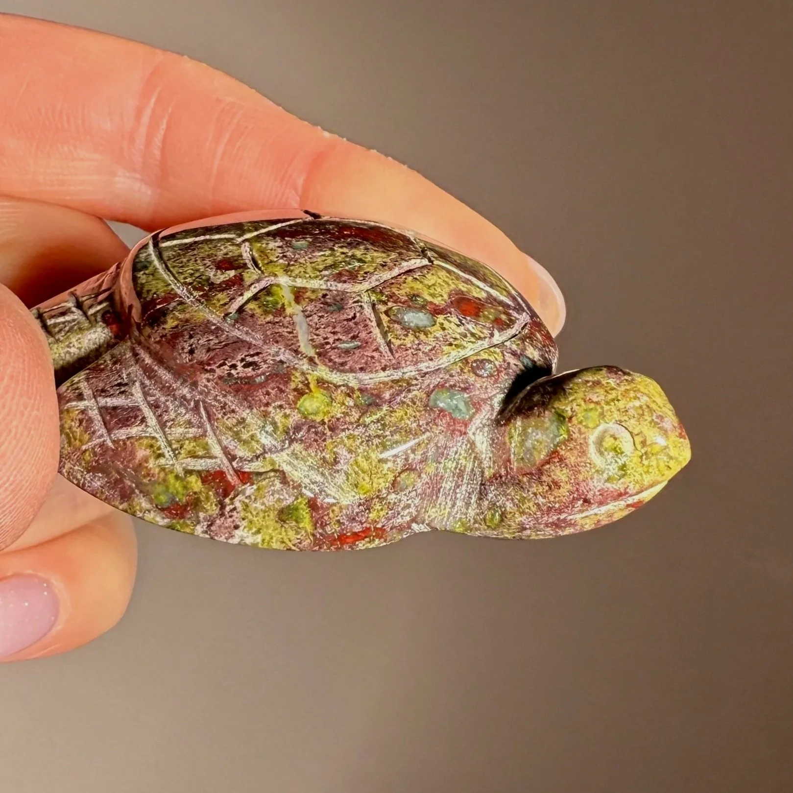 Dragon's Blood Jasper Turtle