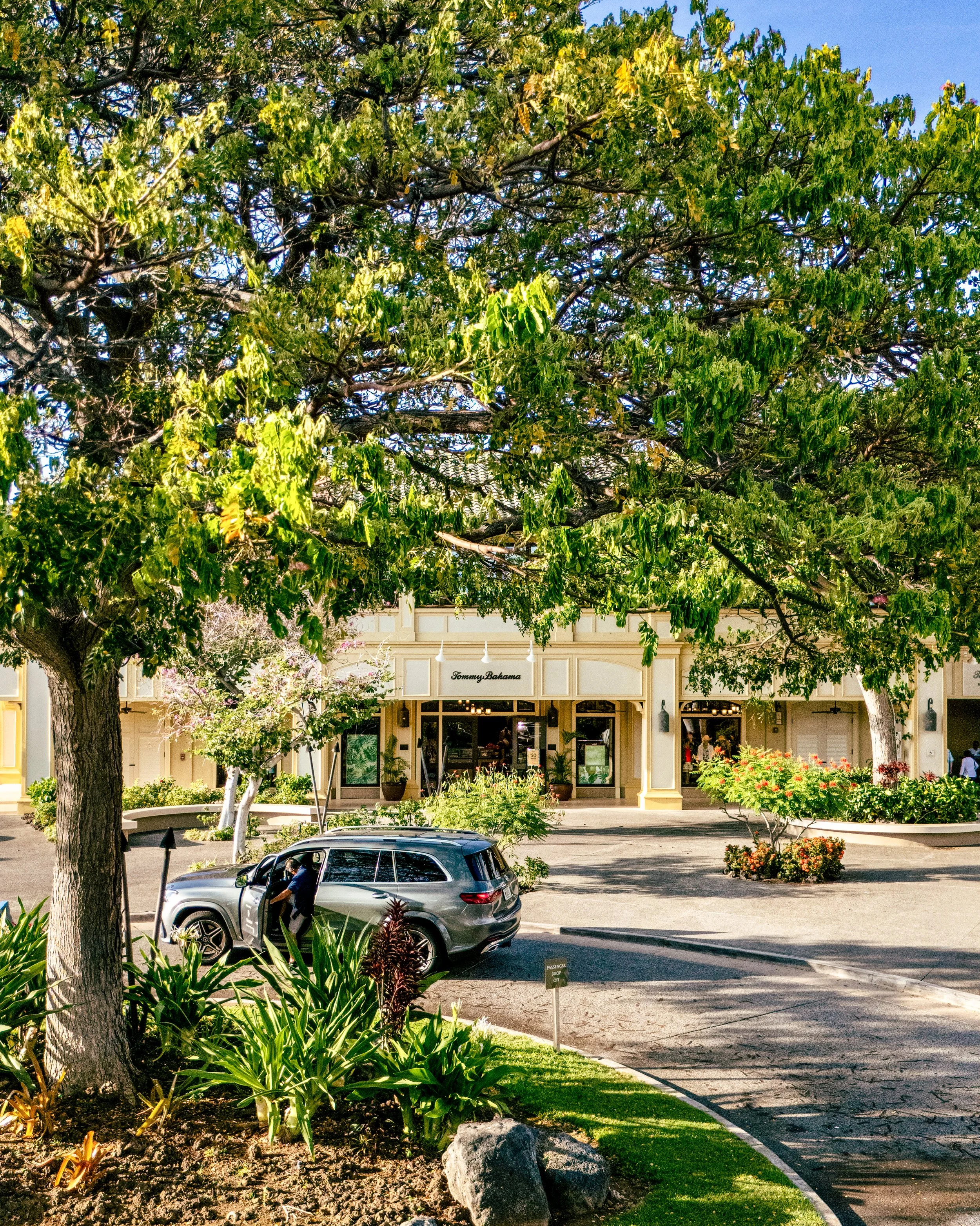 dji_fly_20250527_173528_0093_1748403601138_photo 3.JPG