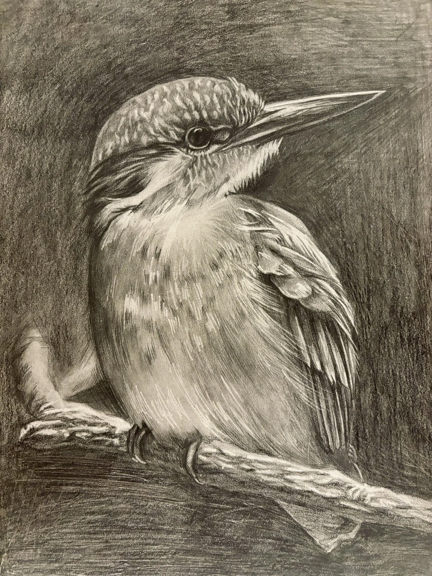 A Bird - Celebrating Art Fall 2024 - High Merit winner (Click to official link) 