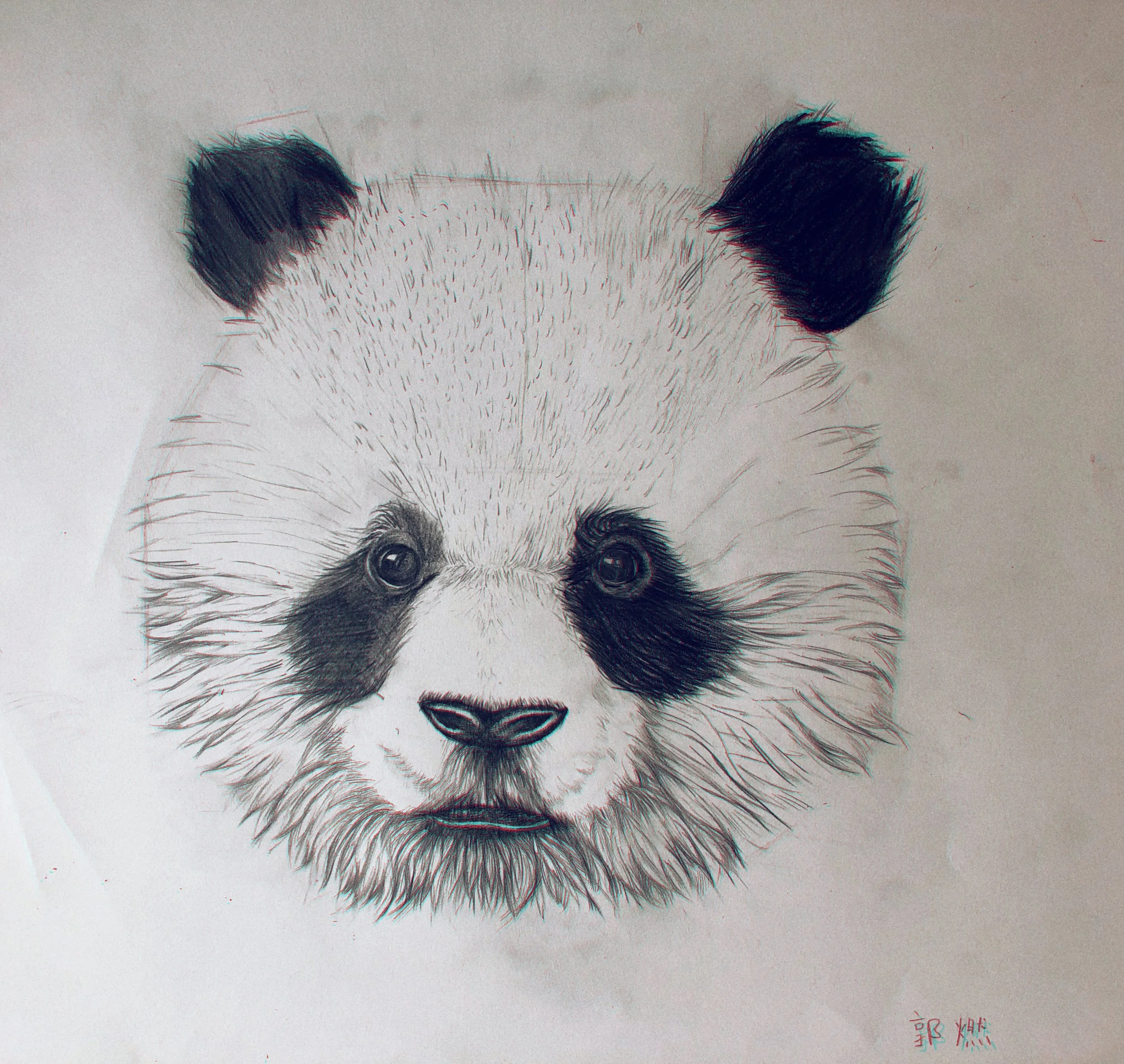 Panda (sketch)