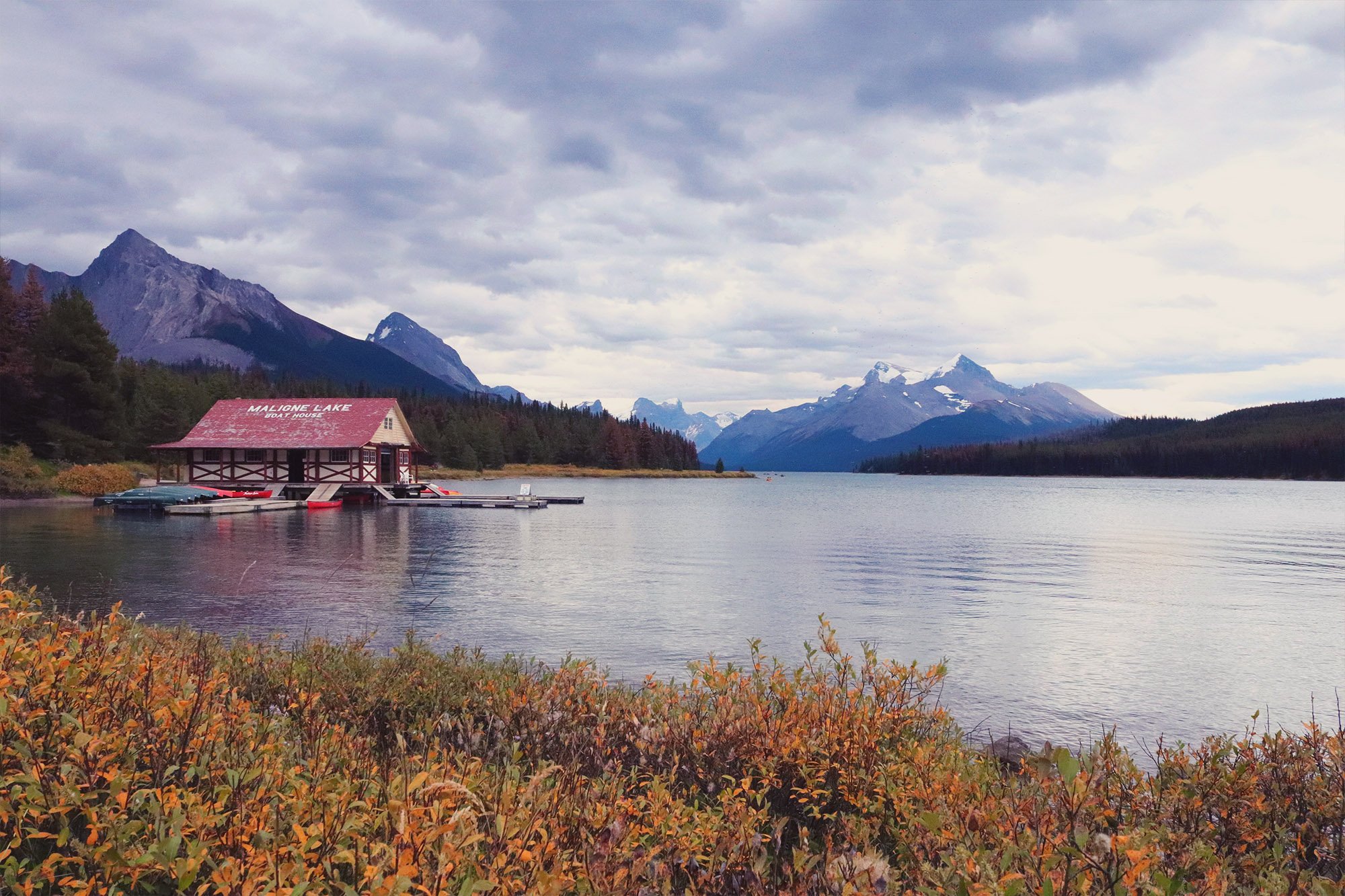 jasper-16.jpg