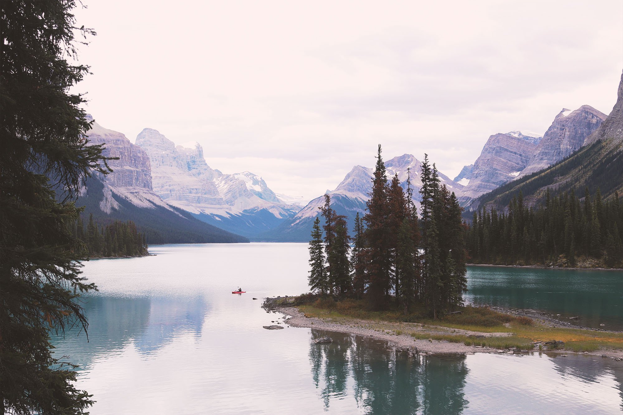 jasper-61.jpg