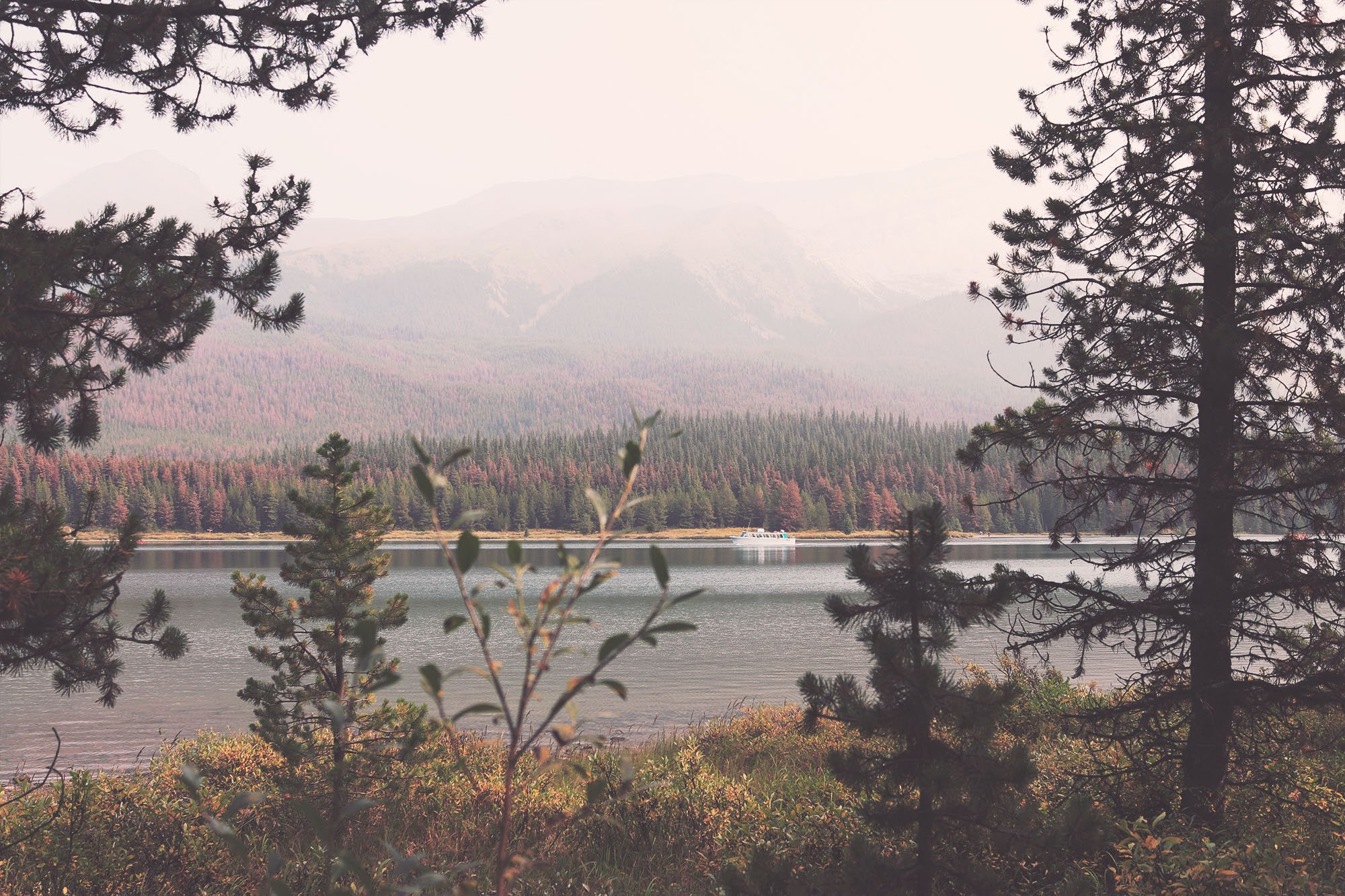 jasper-40.jpg