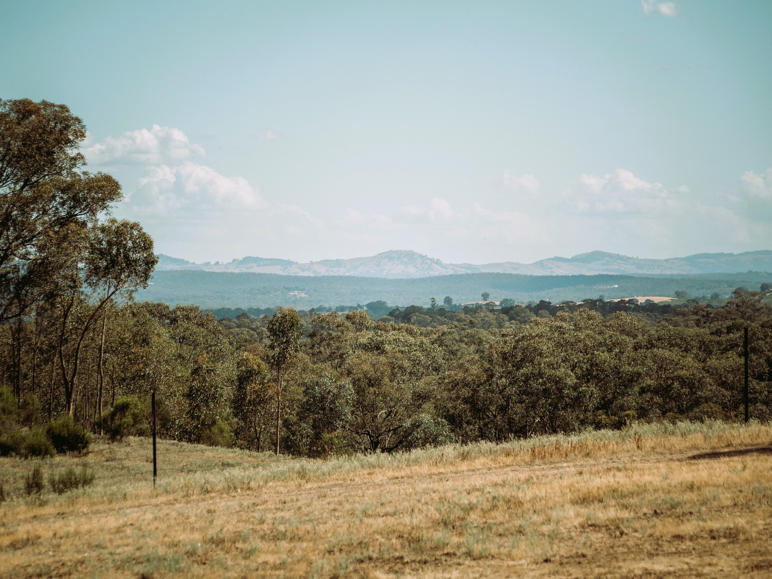 Echidna Ridge View