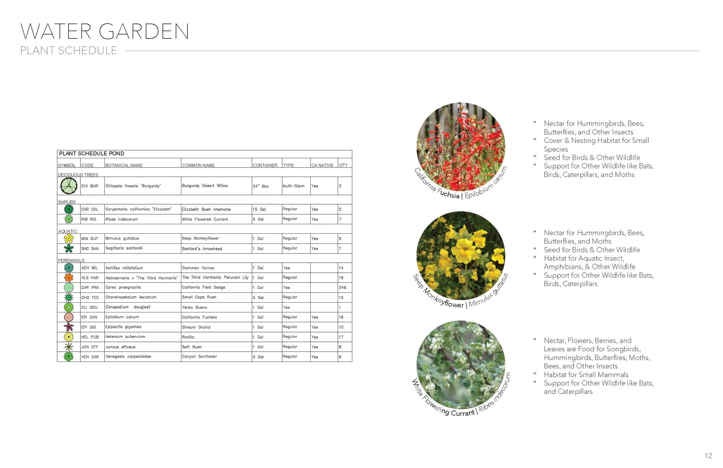 LD5 - Celestial Garden - Marans_Part12.jpg