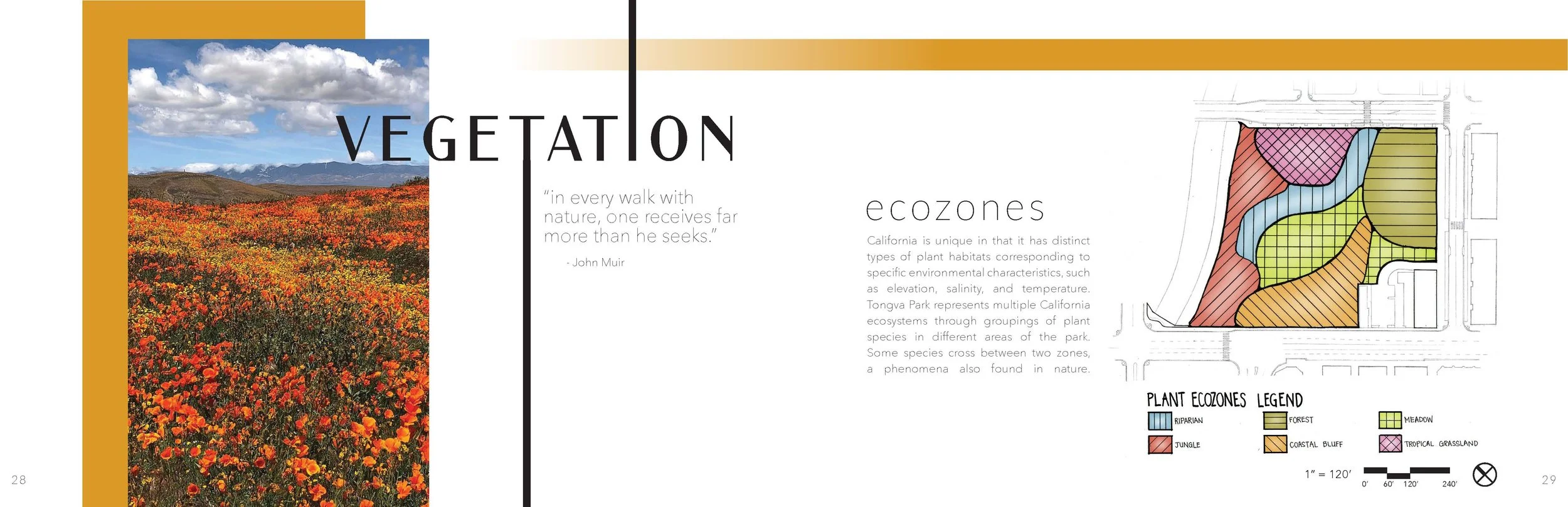 DG3 Booklet - 15.jpg