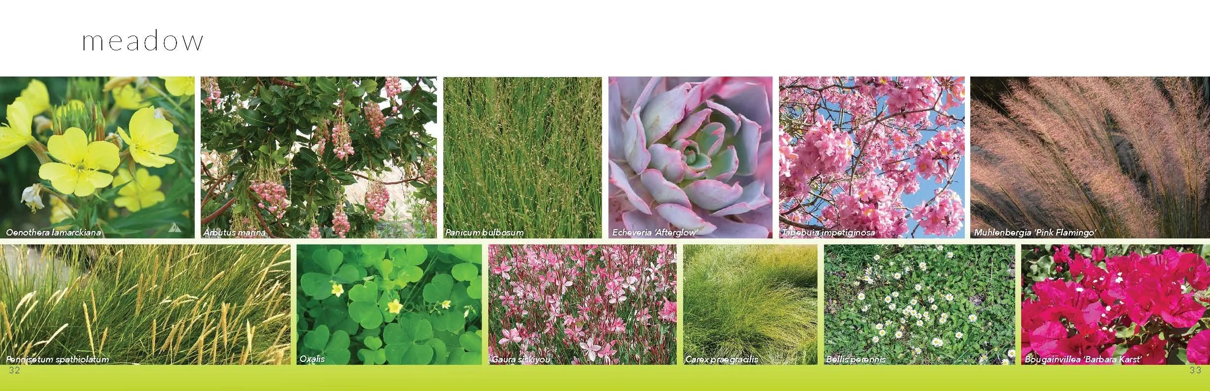 DG3 Booklet - 17.jpg