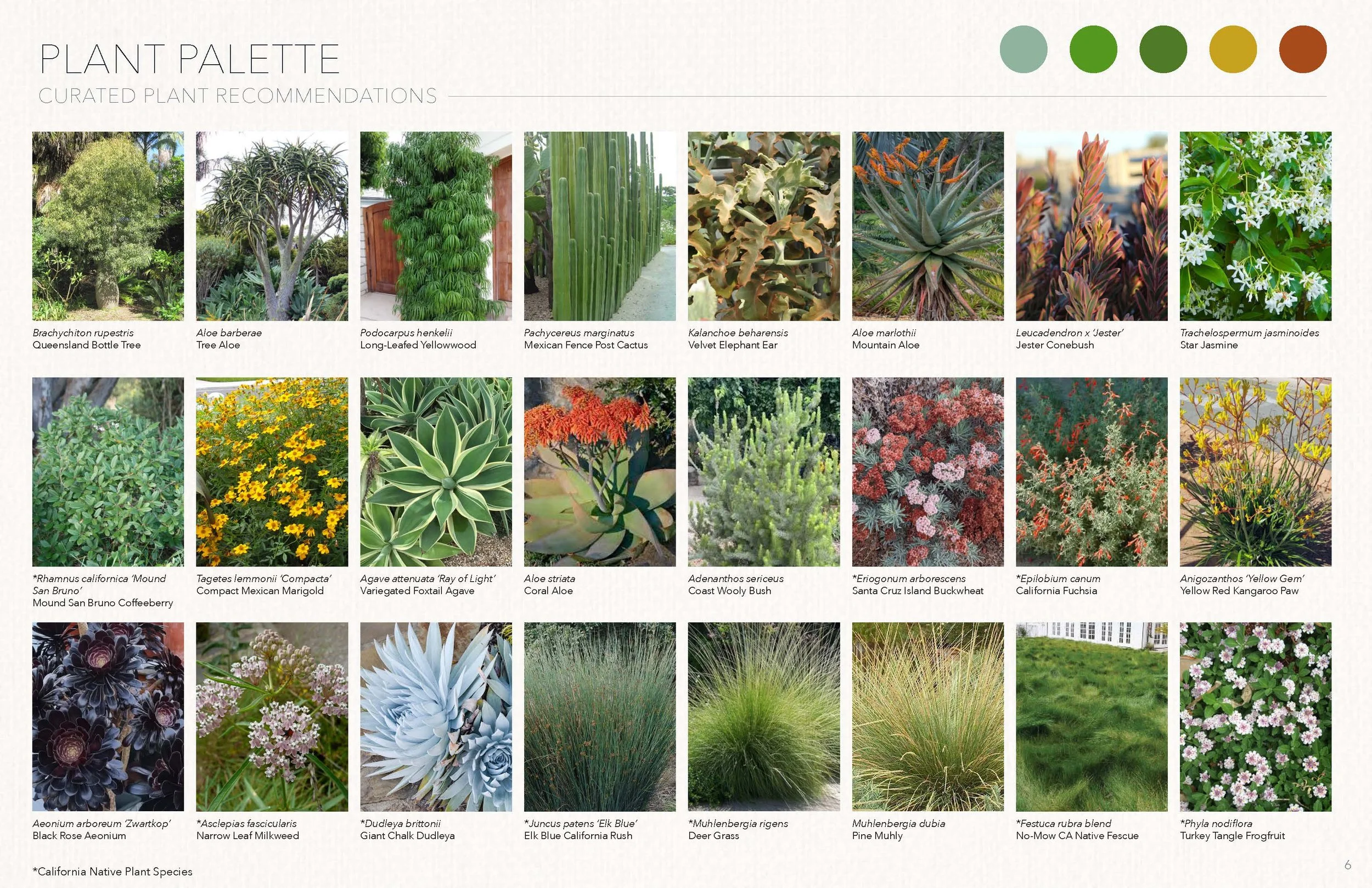 LD5 - Residential Garden Presentation - Marans 6.jpg