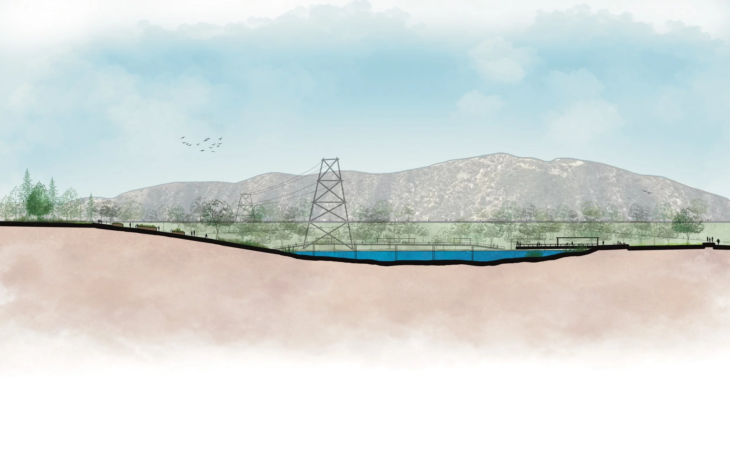 LD4 - Section Elevation 40’.jpg