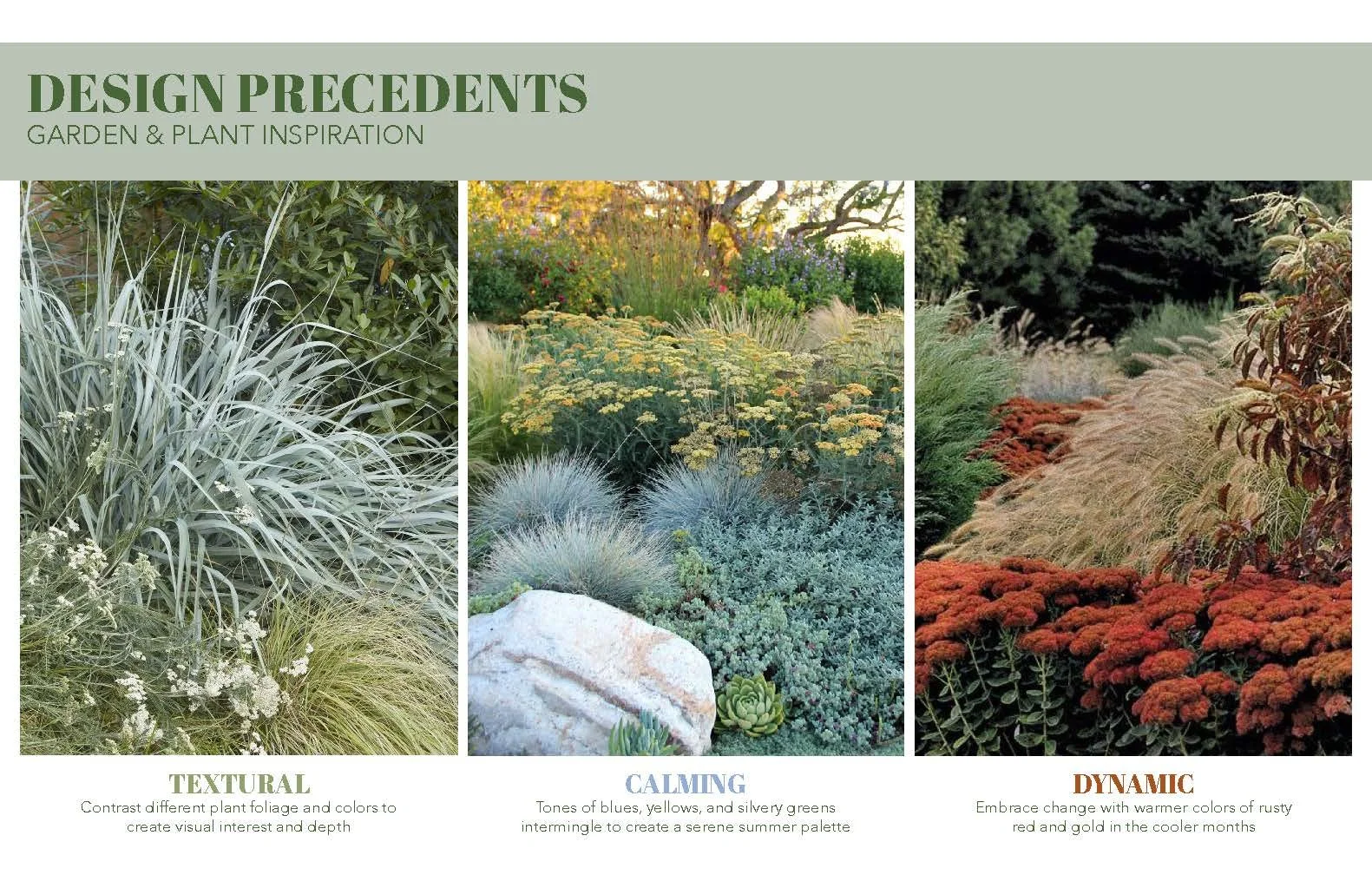 Plant Palette - CA Natives - Marans_Part3.jpg