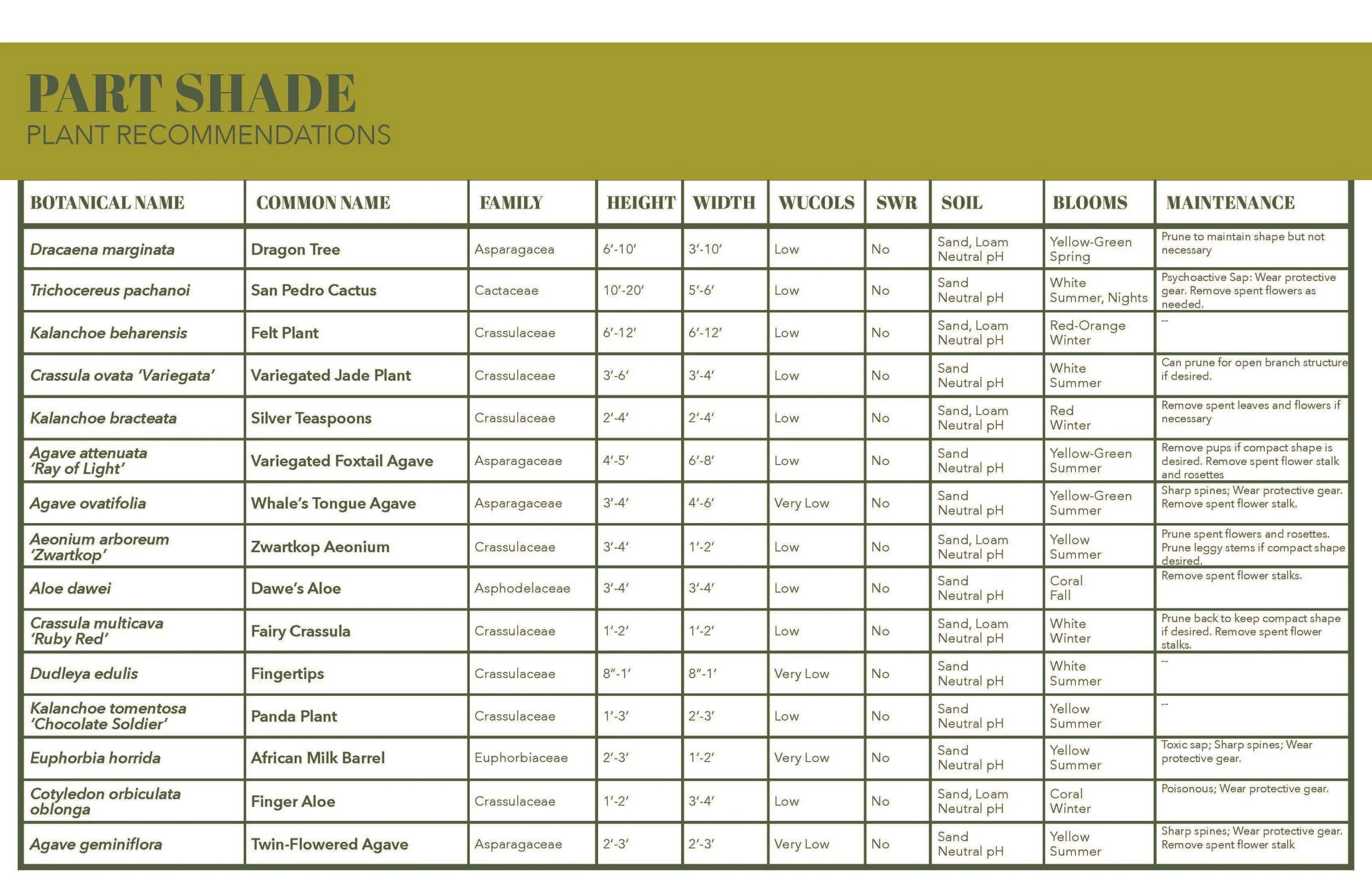 Plant Palette - Succulents - Marans_Part9.jpg