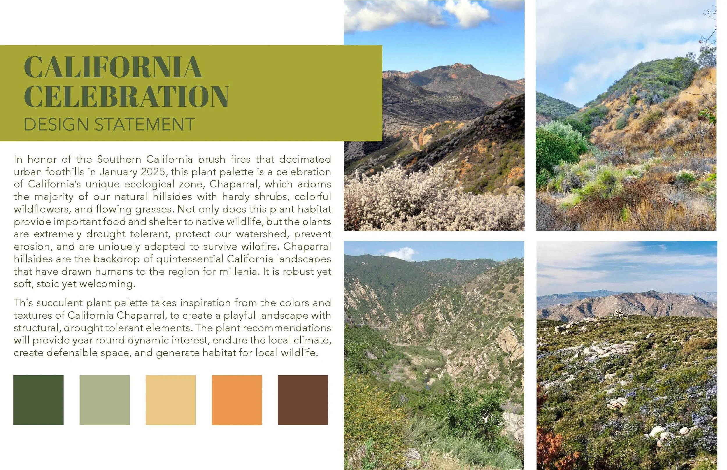 Plant Palette - Succulents - Marans_Part2.jpg