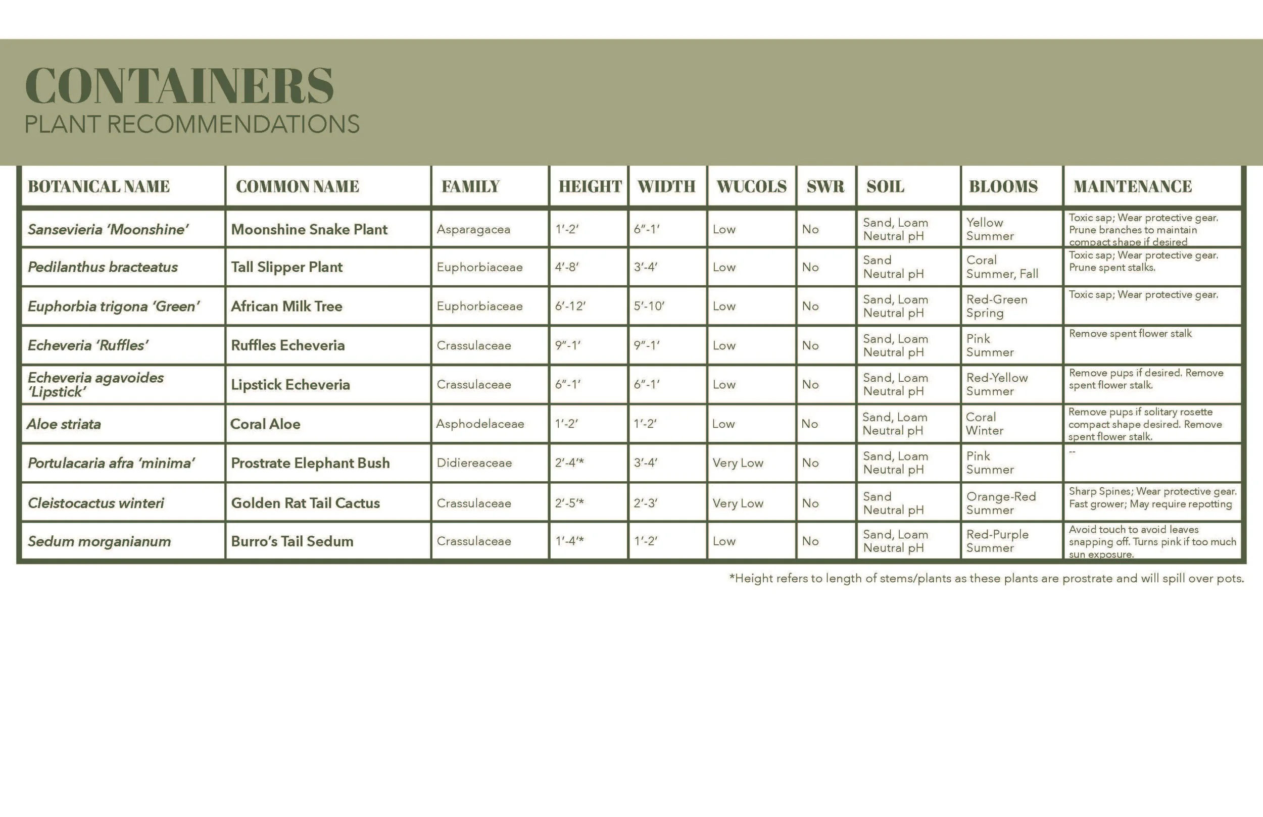 Plant Palette - Succulents - Marans_Part11.jpg