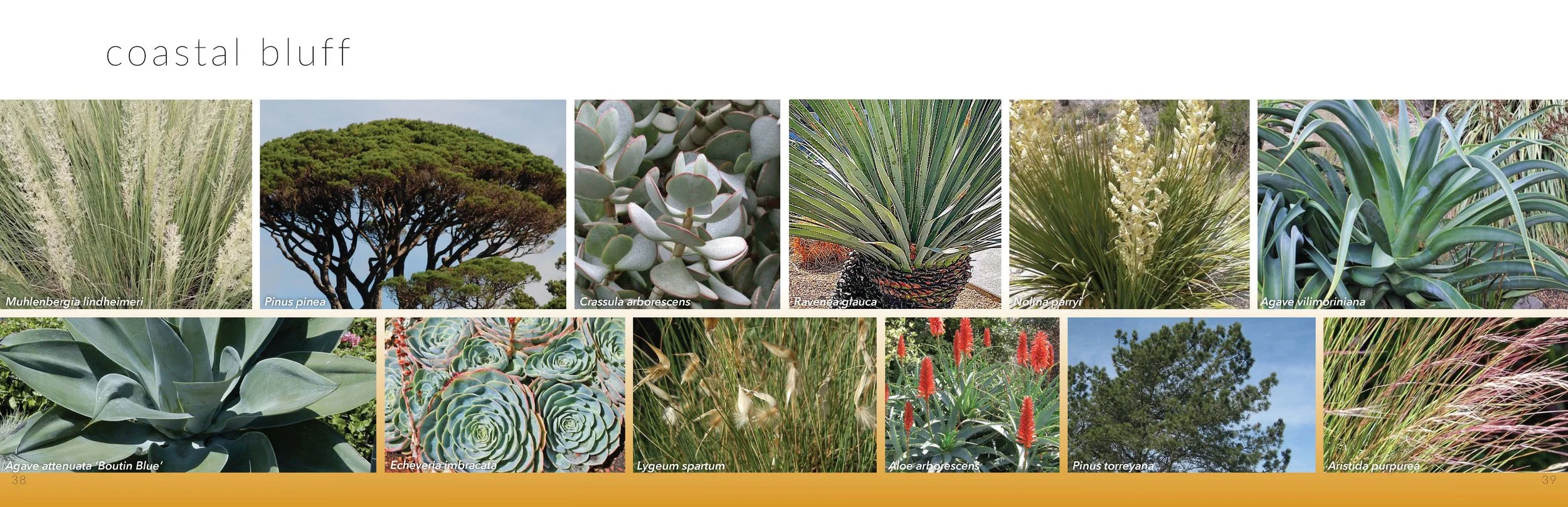 DG3 Booklet - 20.jpg