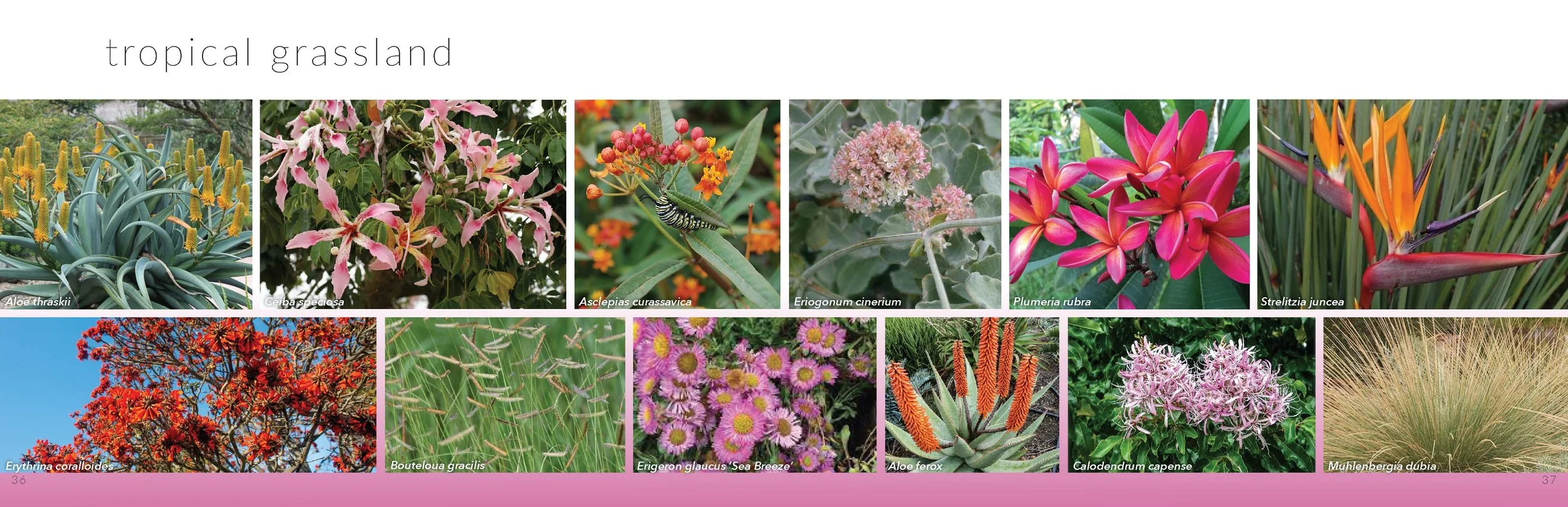 DG3 Booklet - 19.jpg