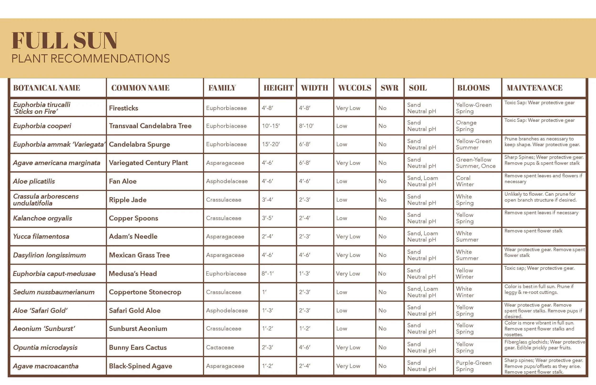 Plant Palette - Succulents - Marans_Part6.jpg