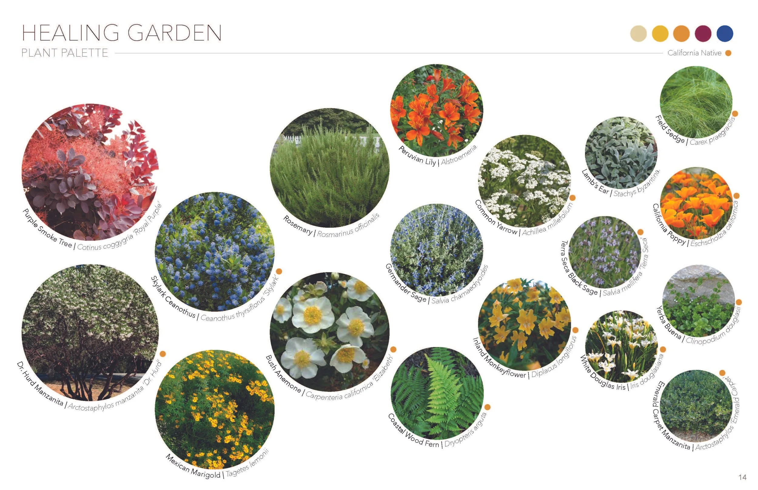 LD5 - Celestial Garden - Marans_Part14.jpg