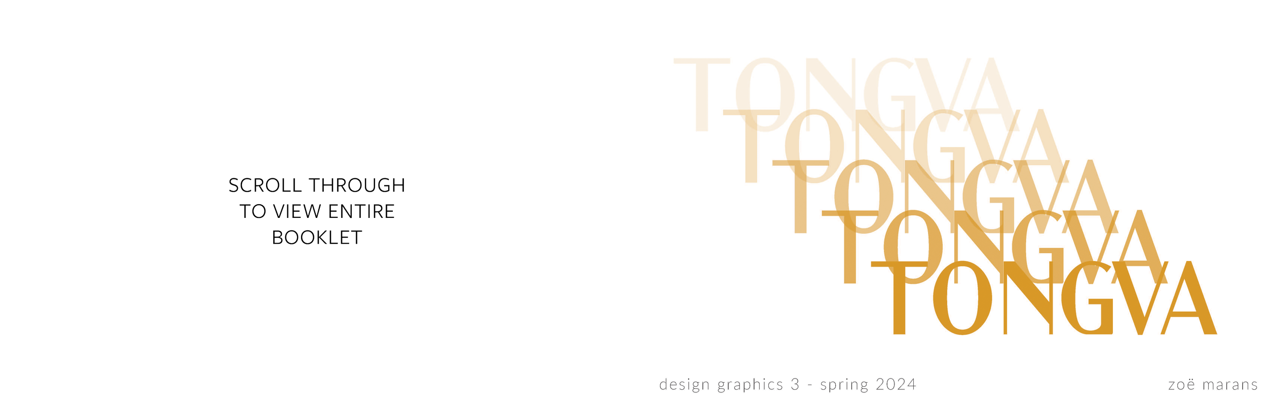 DG3 Booklet - Title Page for Website - Scroll.png