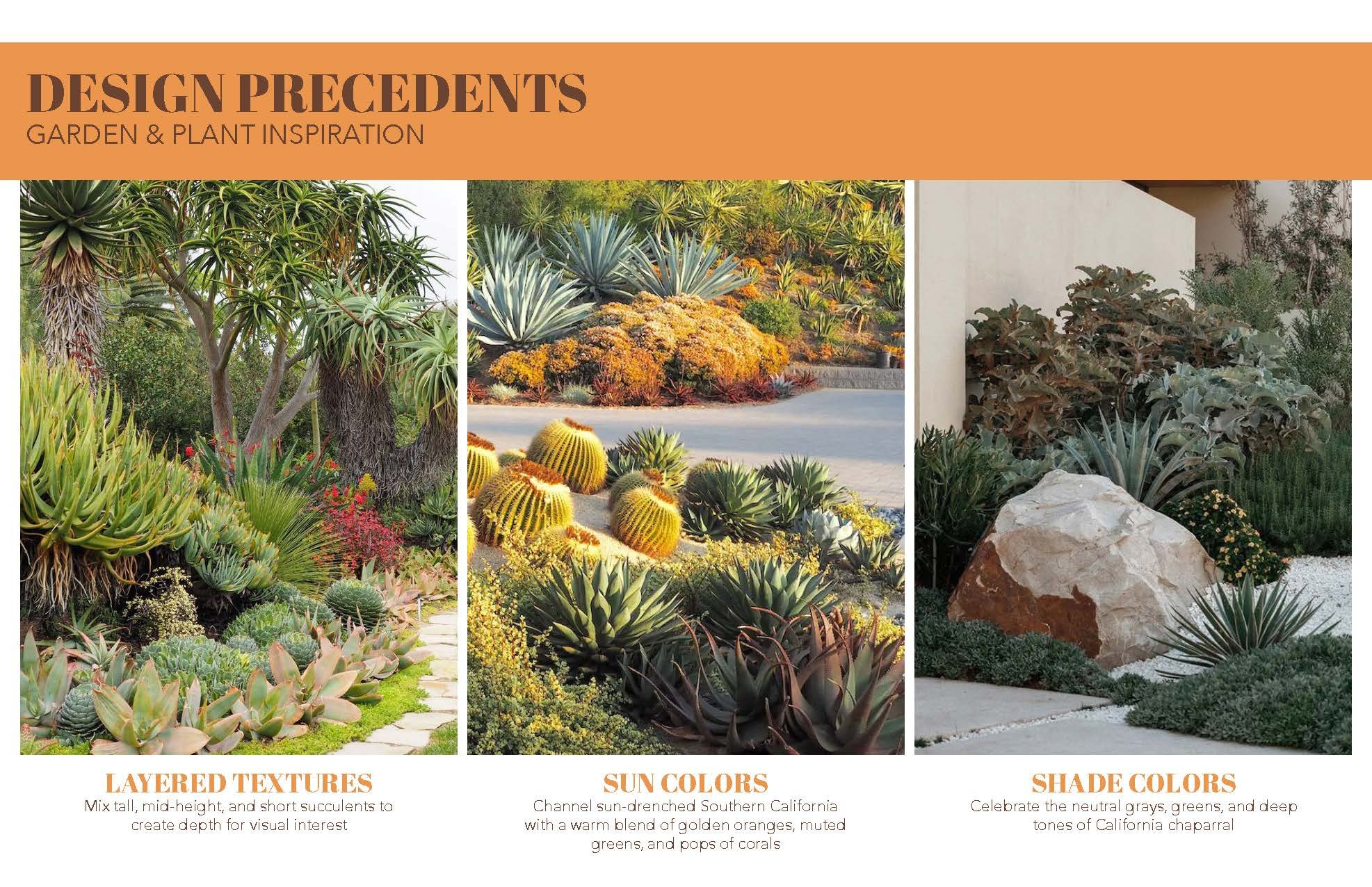 Plant Palette - Succulents - Marans_Part3.jpg