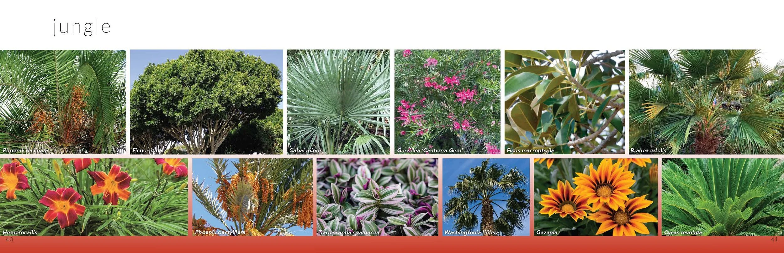 DG3 Booklet - 21.jpg