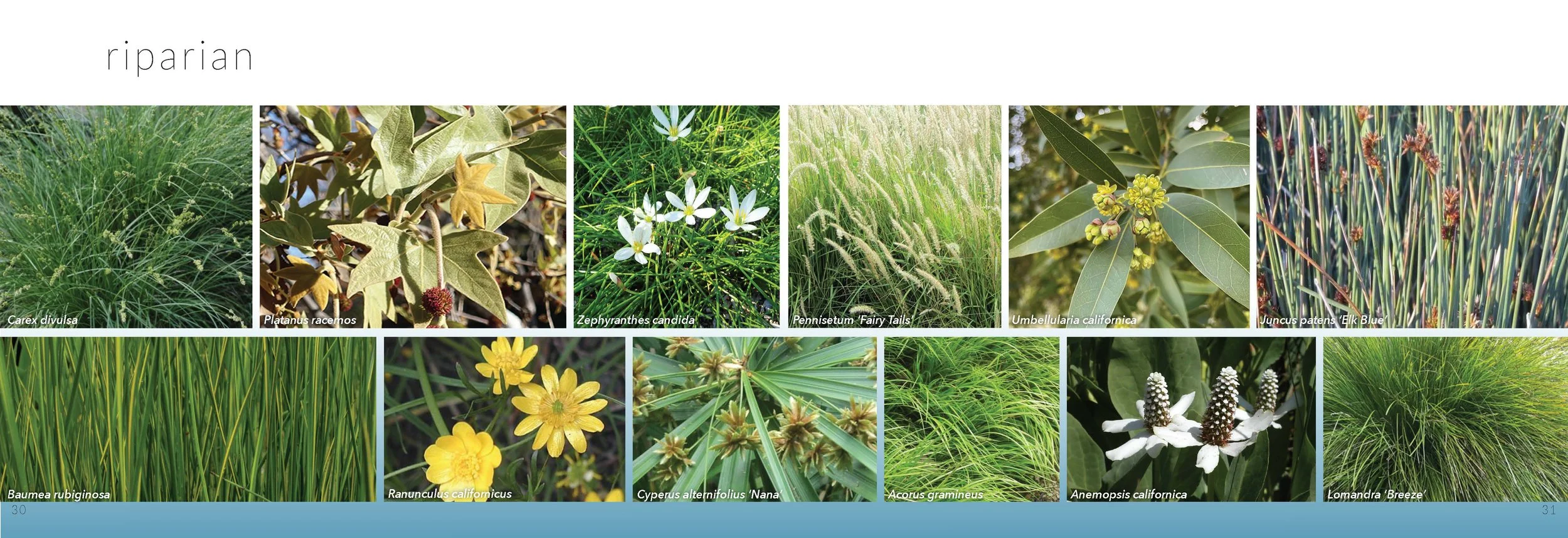 DG3 Booklet - 16.jpg