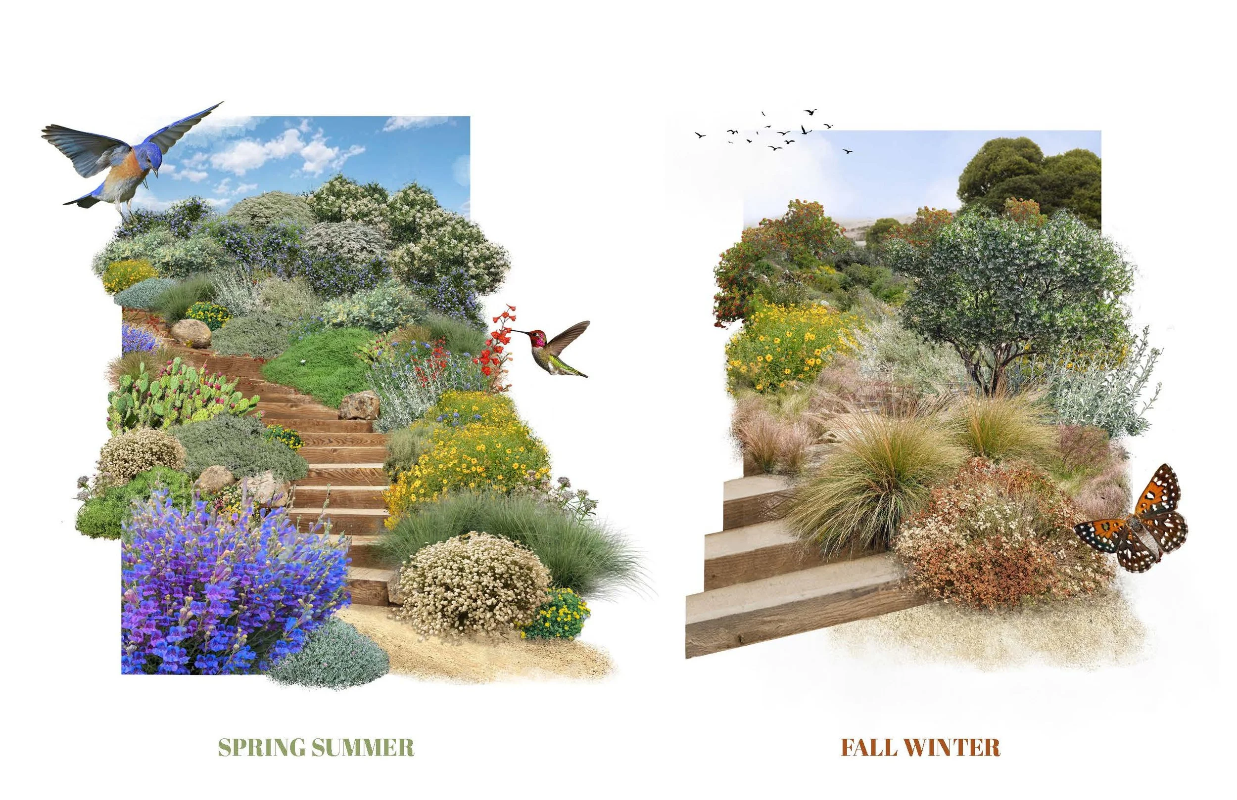 Plant Palette - CA Natives - Marans_Part5.jpg