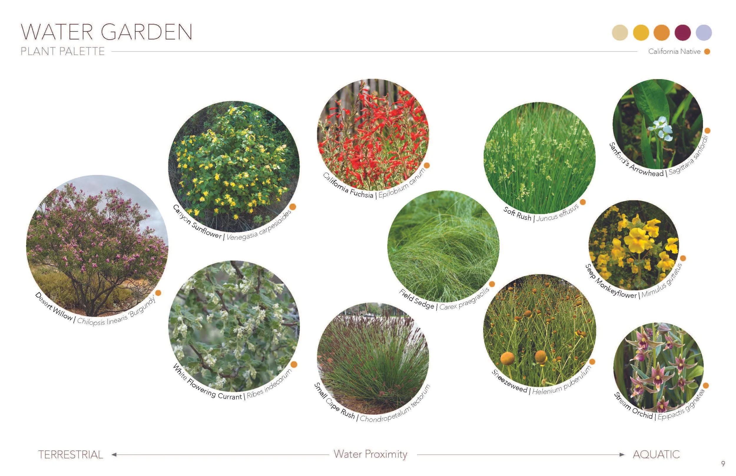 LD5 - Celestial Garden - Marans_Part9.jpg