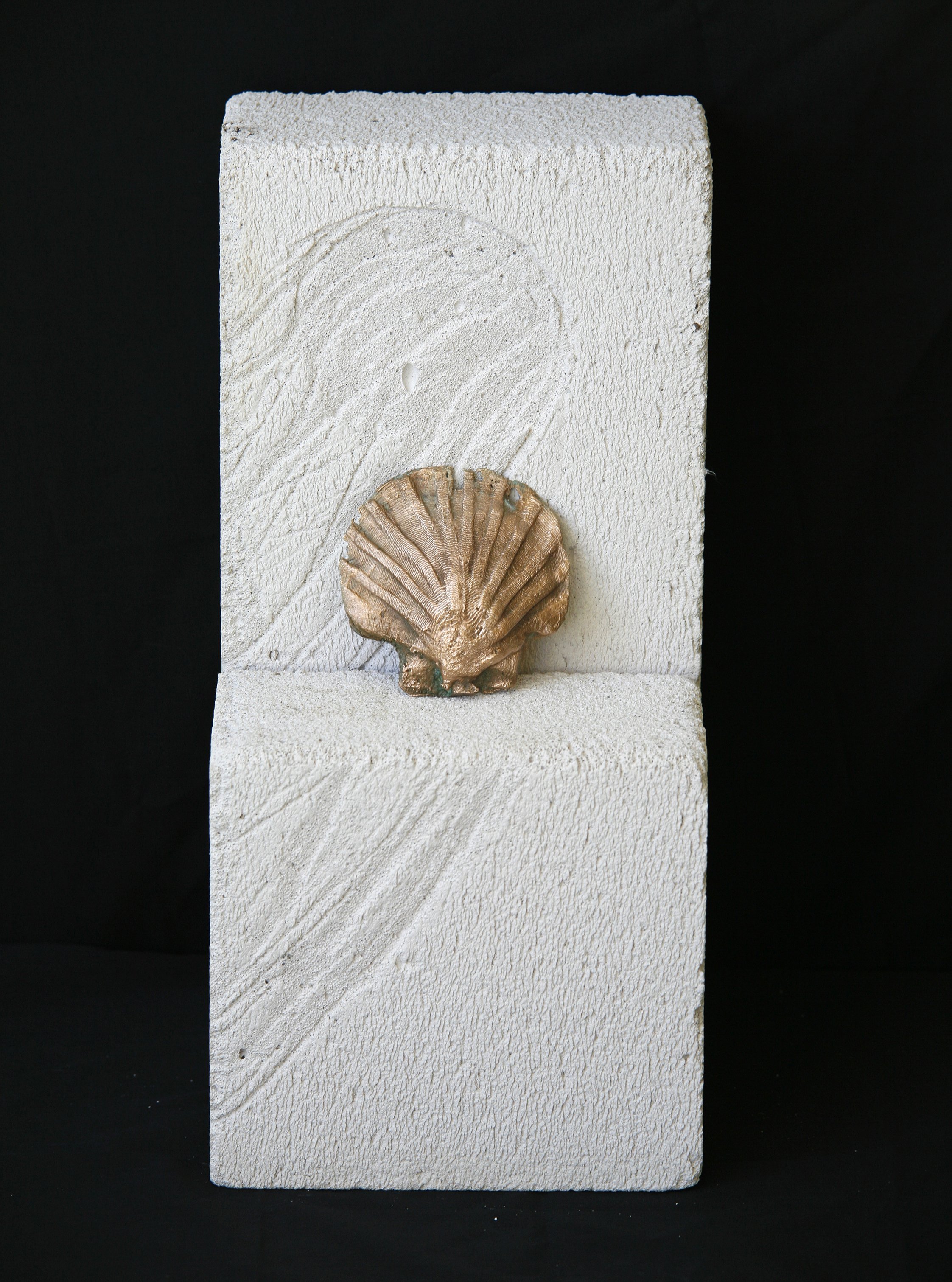 Seashell on Etched Rock