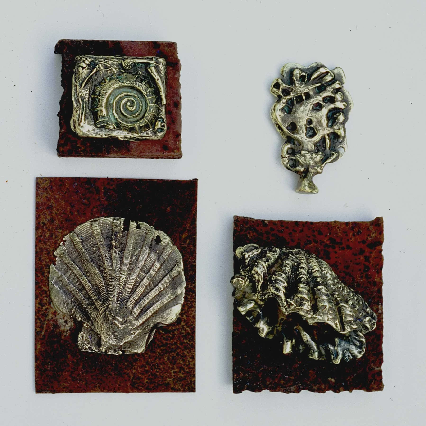 Bronze Sealife