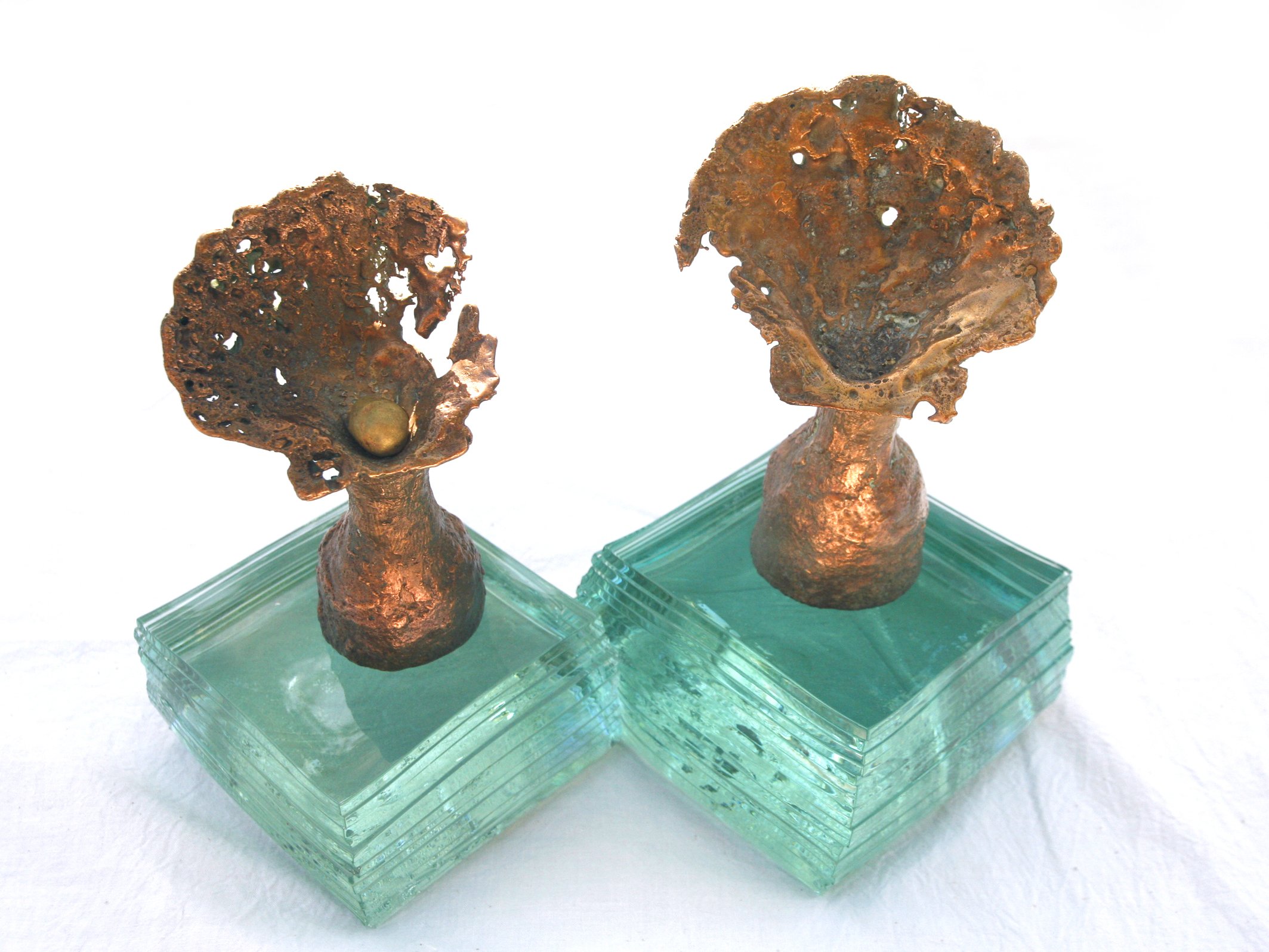 Bronze Seashells on Fuzed Glass
